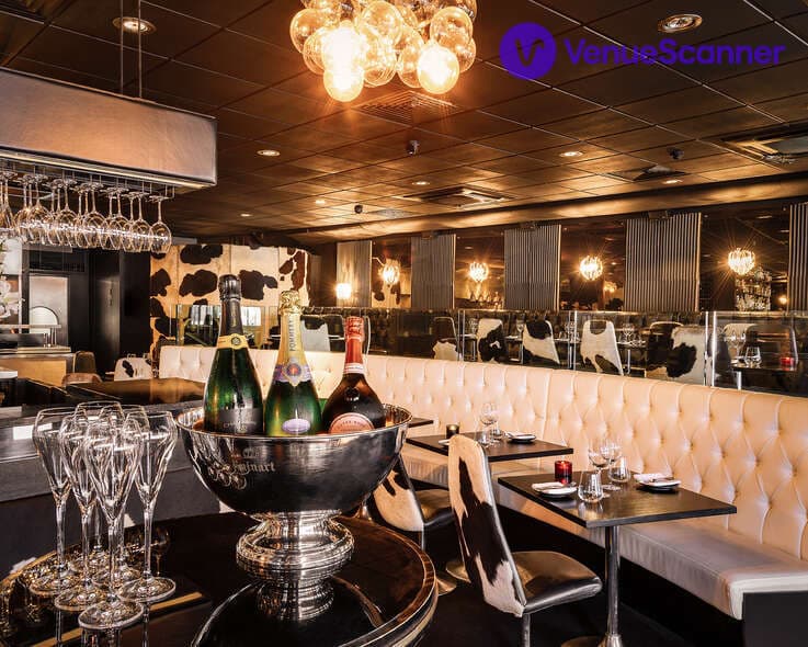 Riverside Terrace, Gaucho Canary photo #3