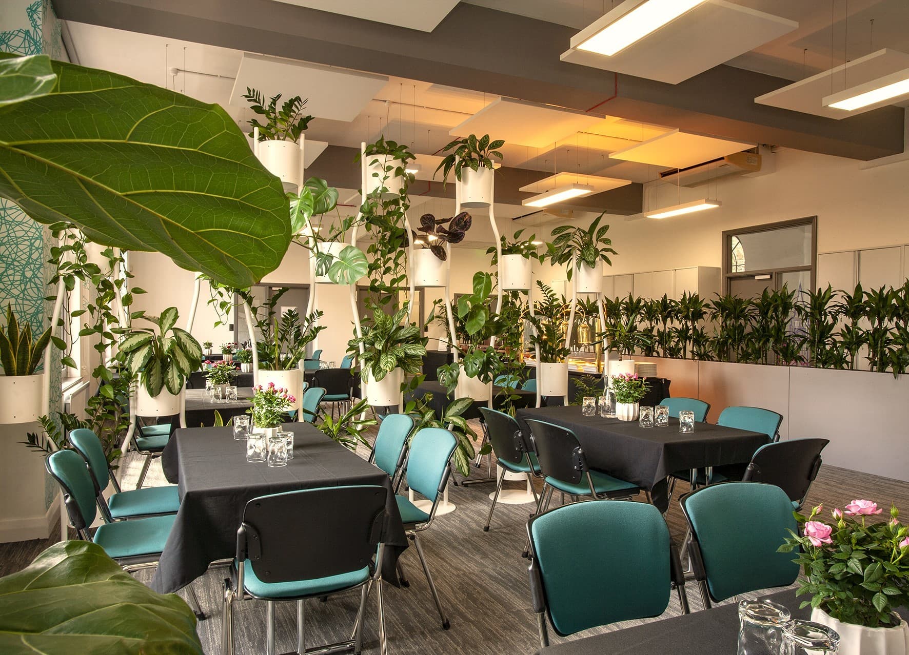 Sakura Café, Woburn House photo #4
