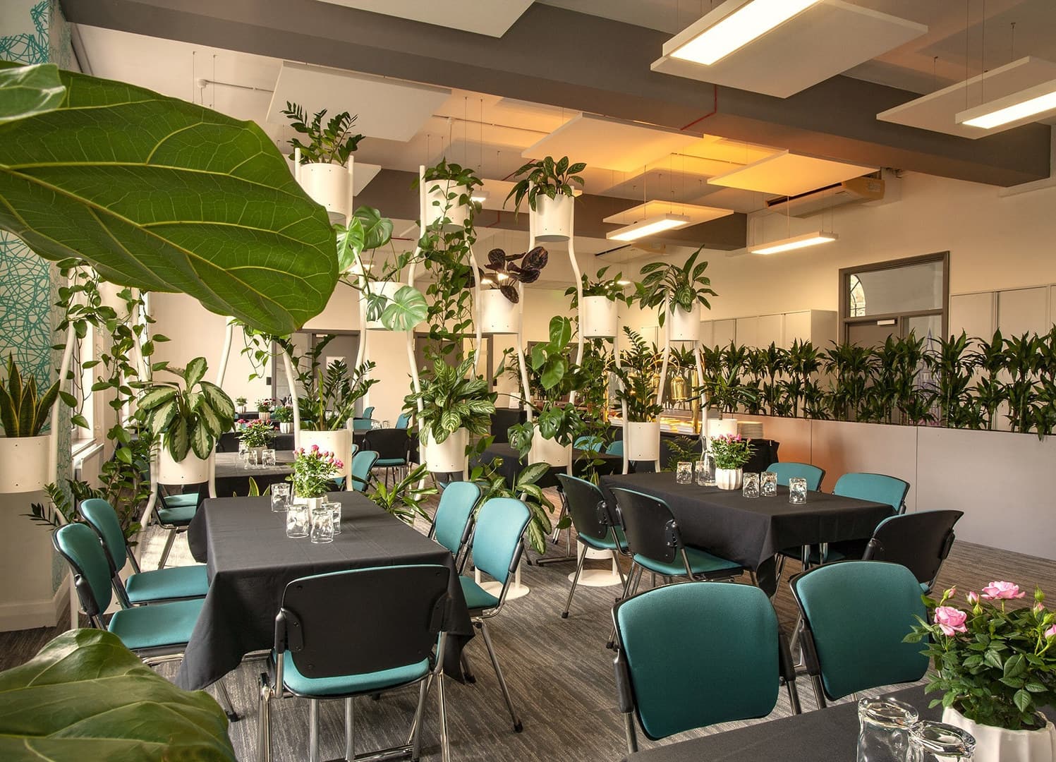 Sakura Café, Woburn House photo #4