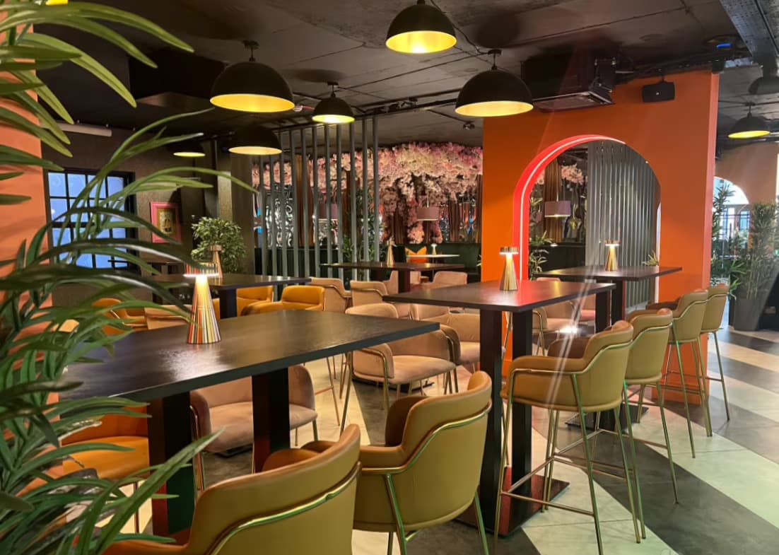 Library, Calico Bar & Eatery photo #5