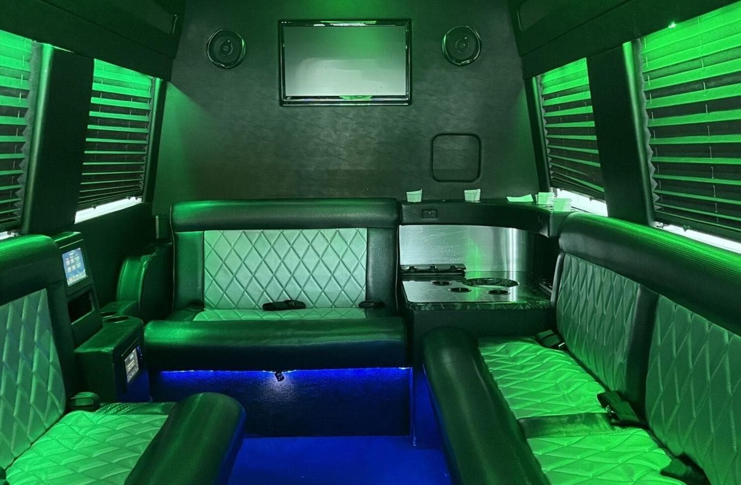15 Passenger Party Bus