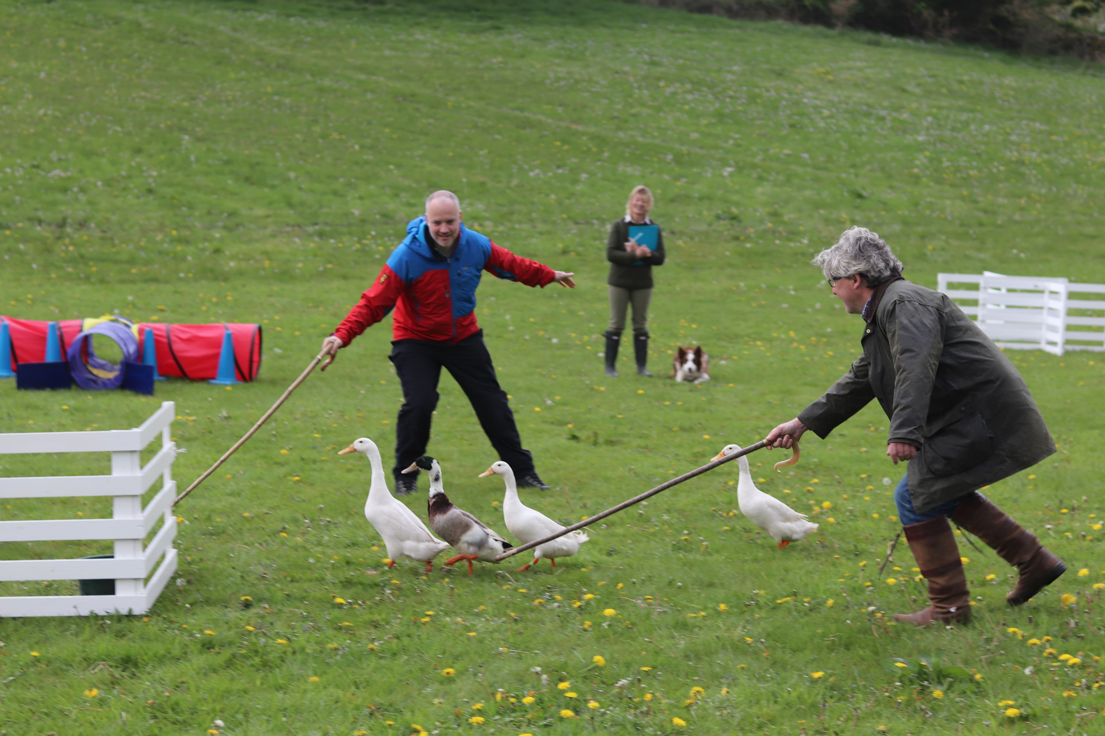 Howgills House, Sedbergh photo #2