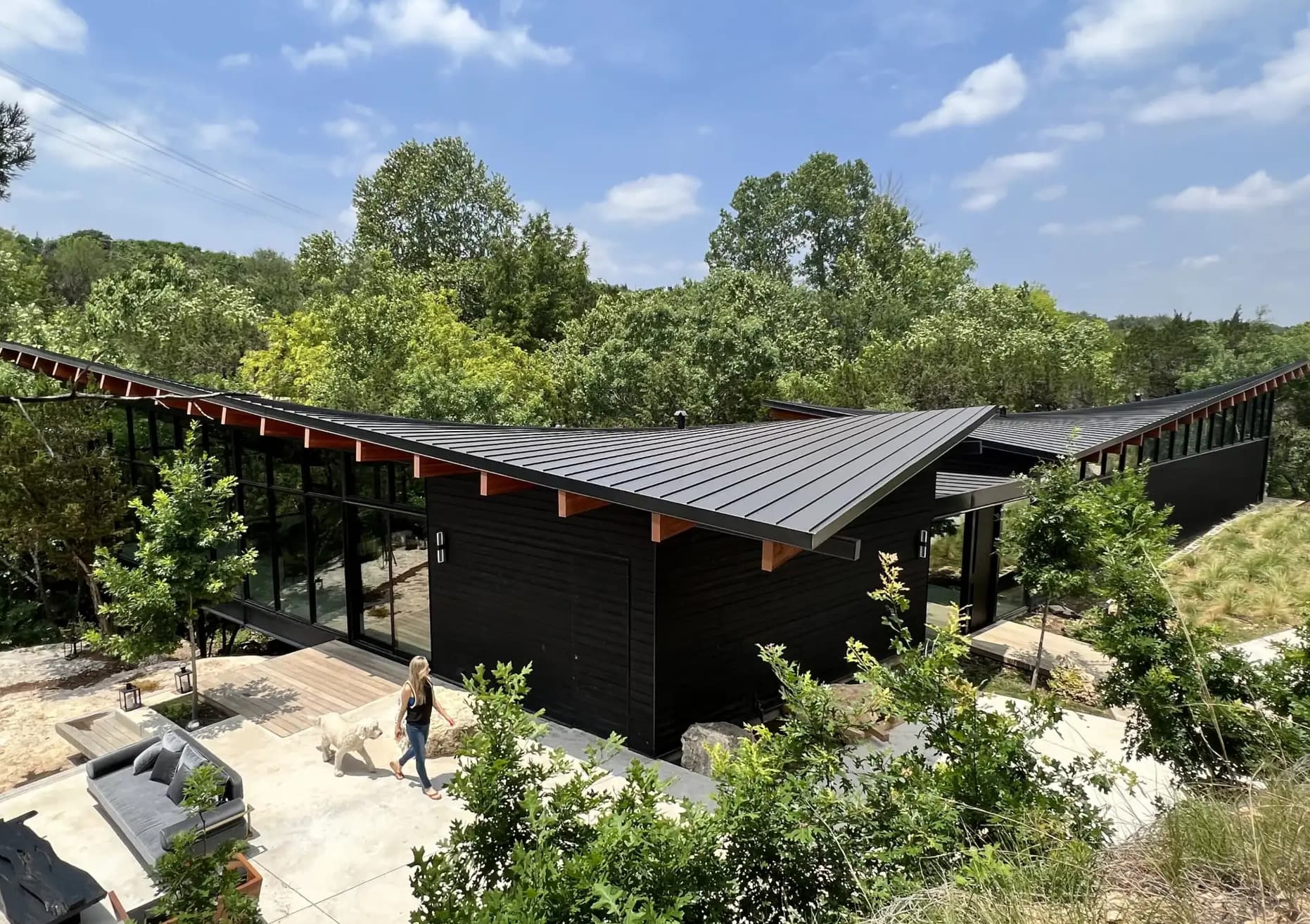 Photo of The Falling Leaves