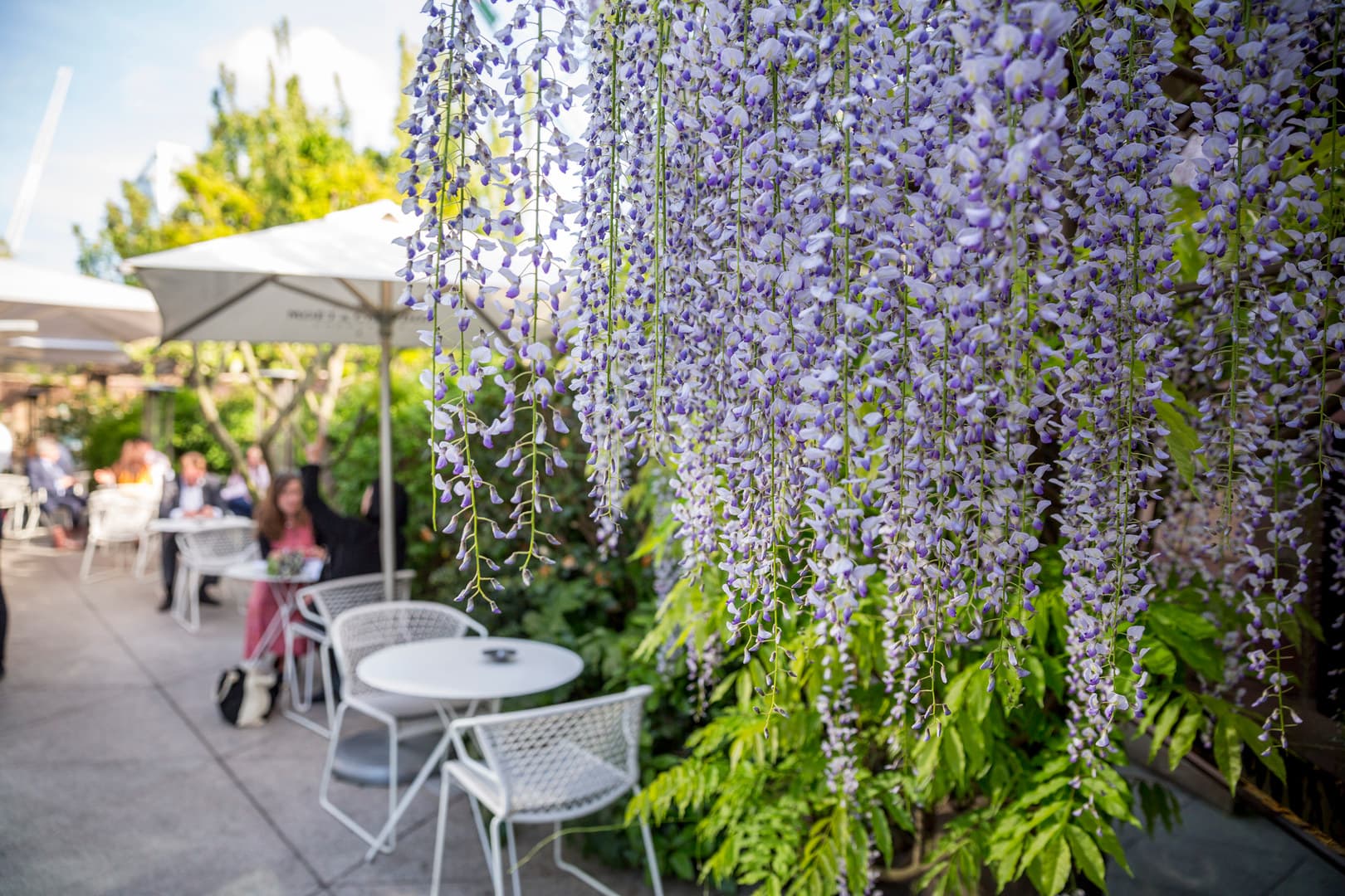 Terrasse Nord, Coq d'Argent Restaurant photo #12