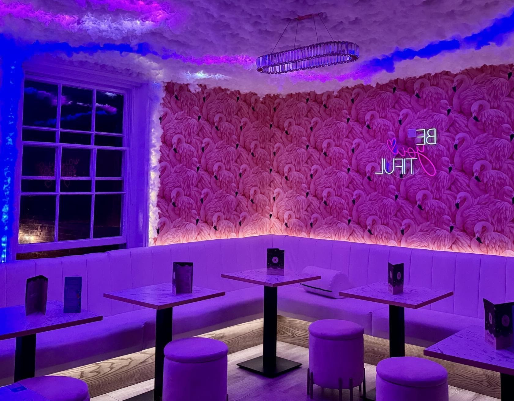 Flamingo Room, Mr Cambray's Curiosity photo #1