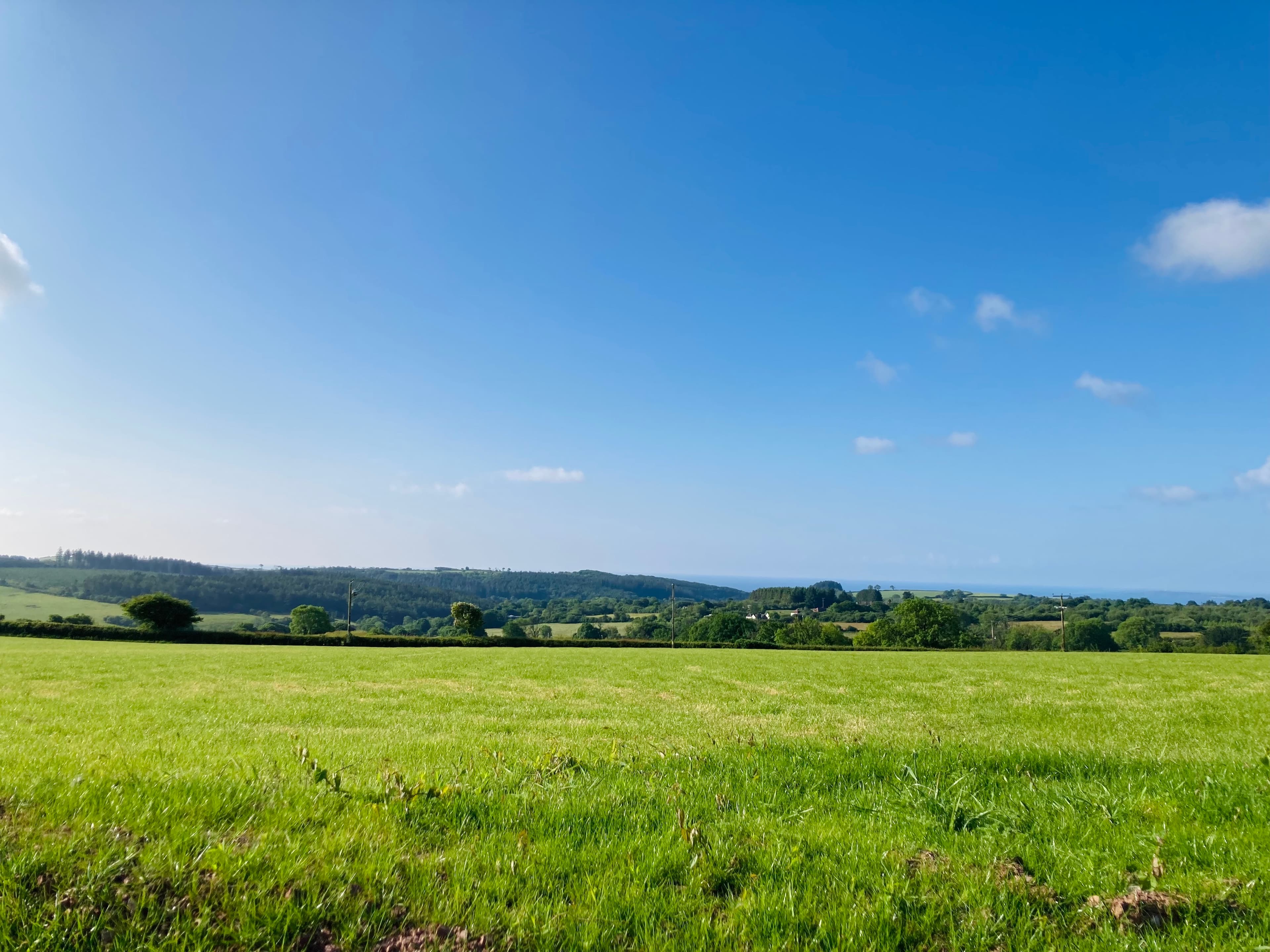 The Rounds, The Barn photo #2