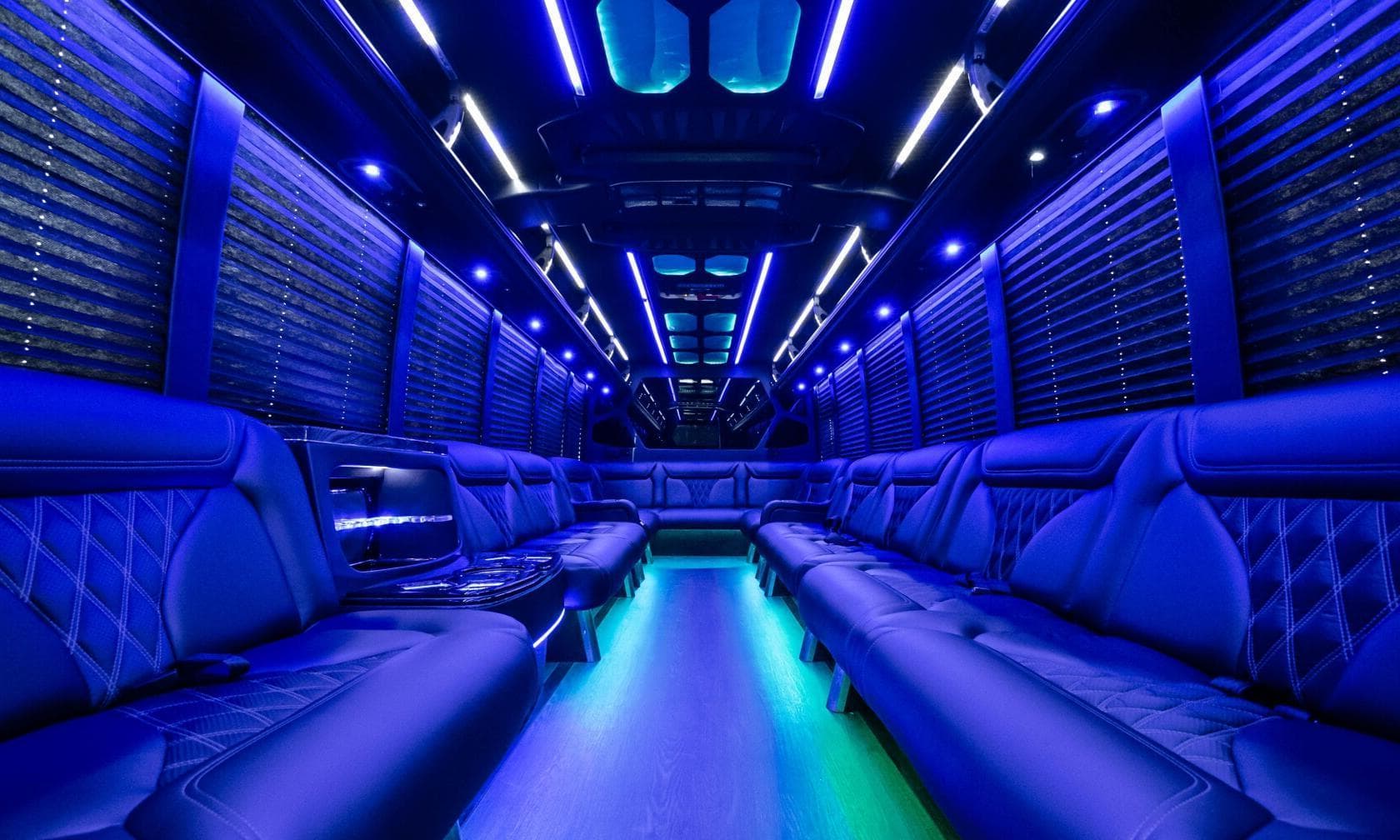 24 Passenger Bus, Party Bus LA photo #1
