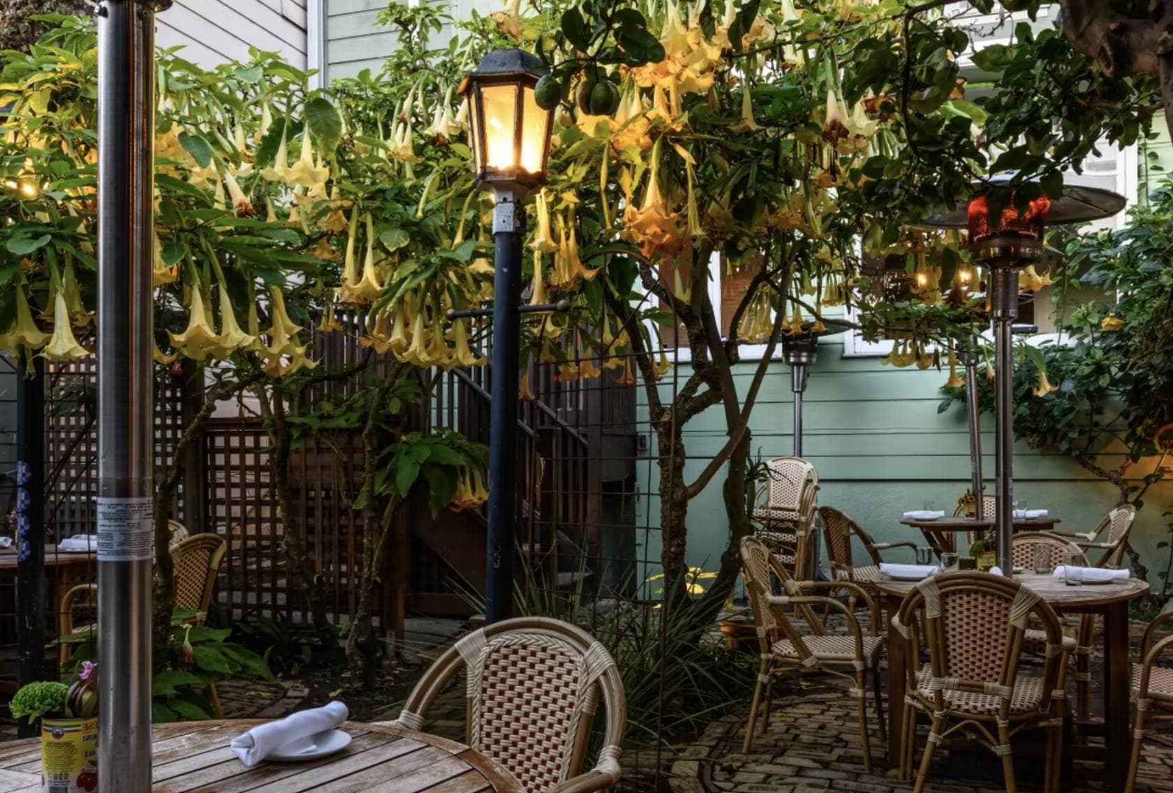 Garden, Blue Plate photo #1