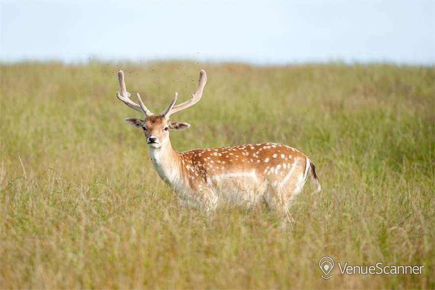 Exclusive Hire, Deer Park Hall photo #1