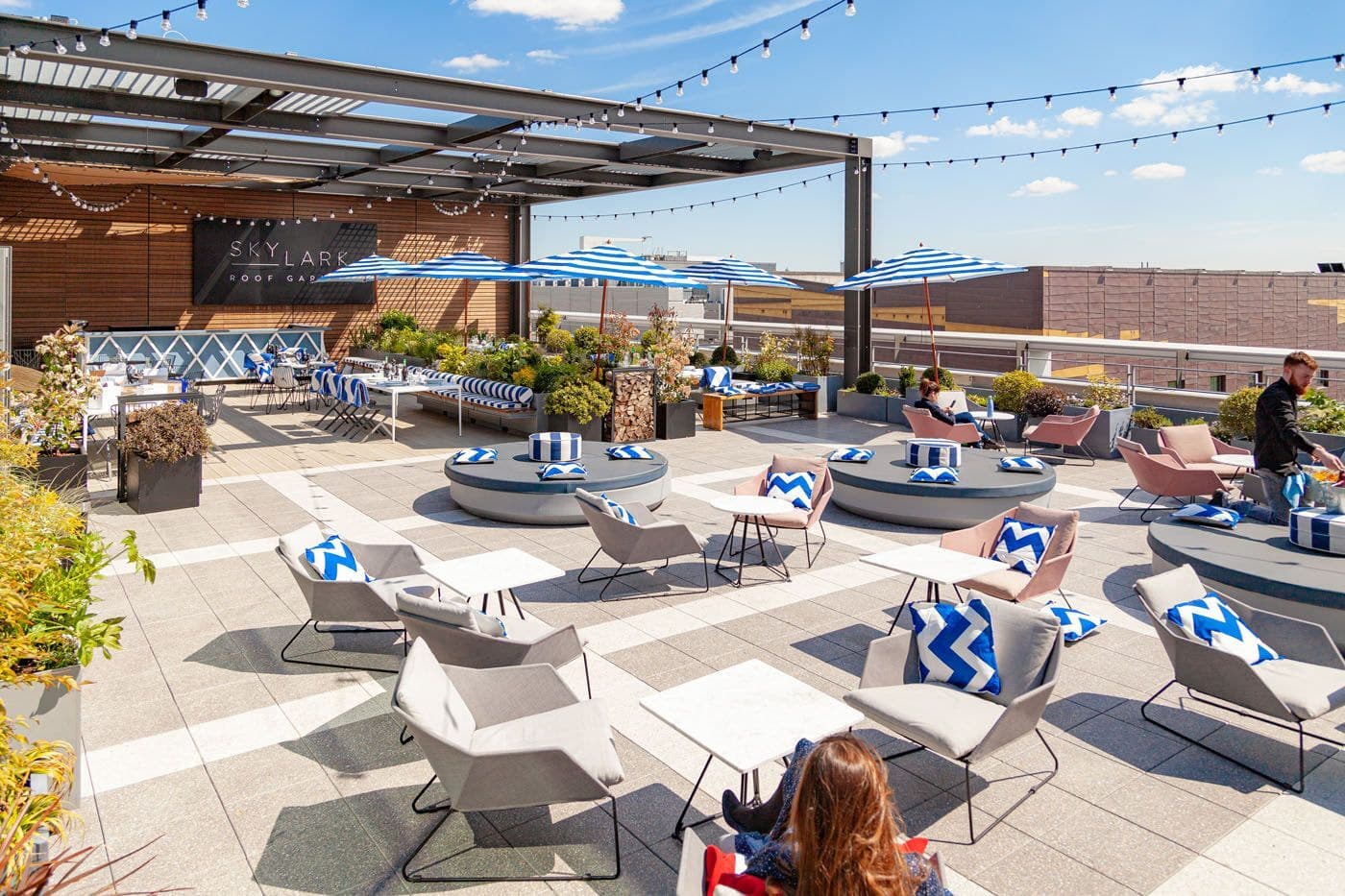 Skylark Roof Garden, Huckster London photo #2