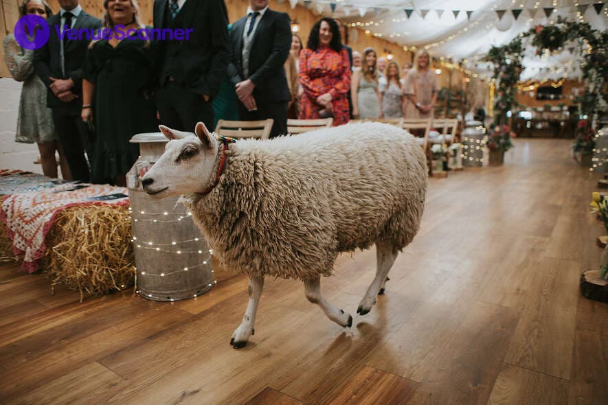 The Wellbeing Farm, Exclusive Hire photo #3