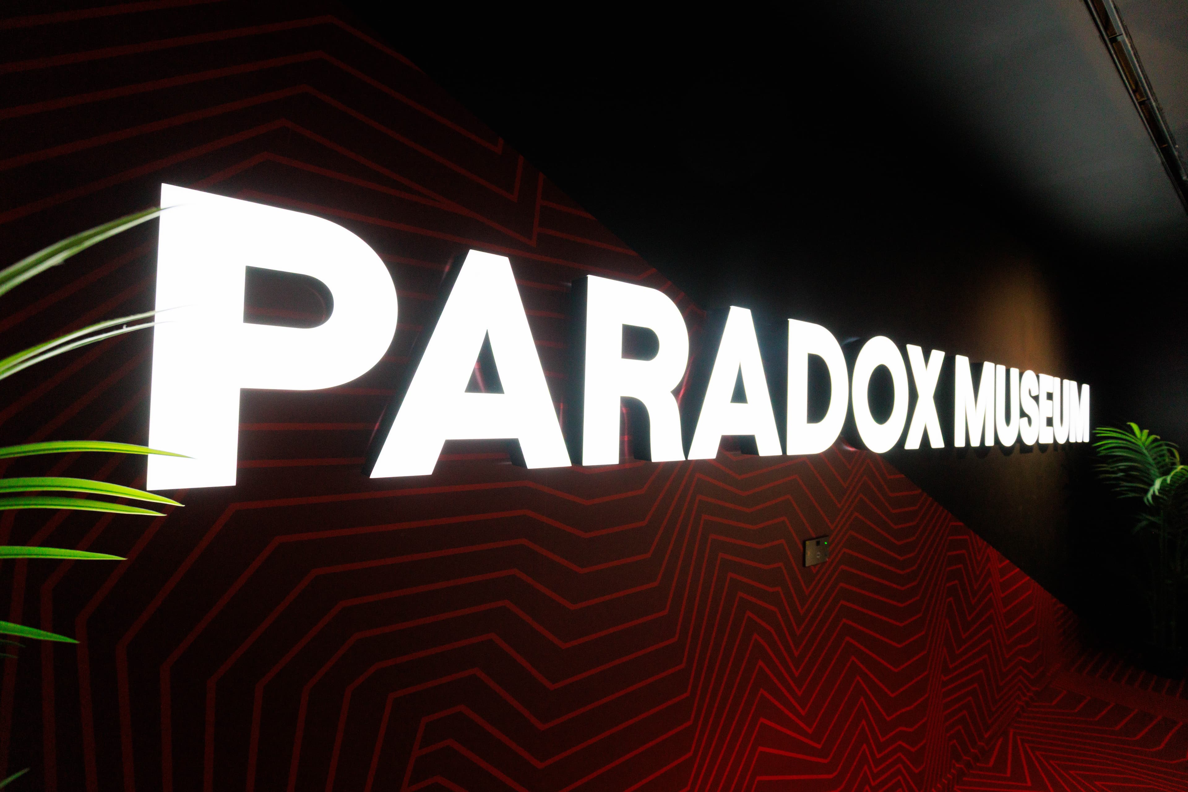 Paradox Museum photo #2