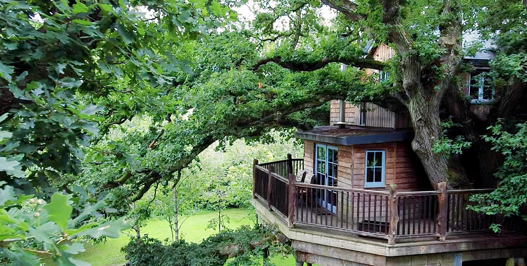 Treetops Treehouse, Fox & Hounds photo #1