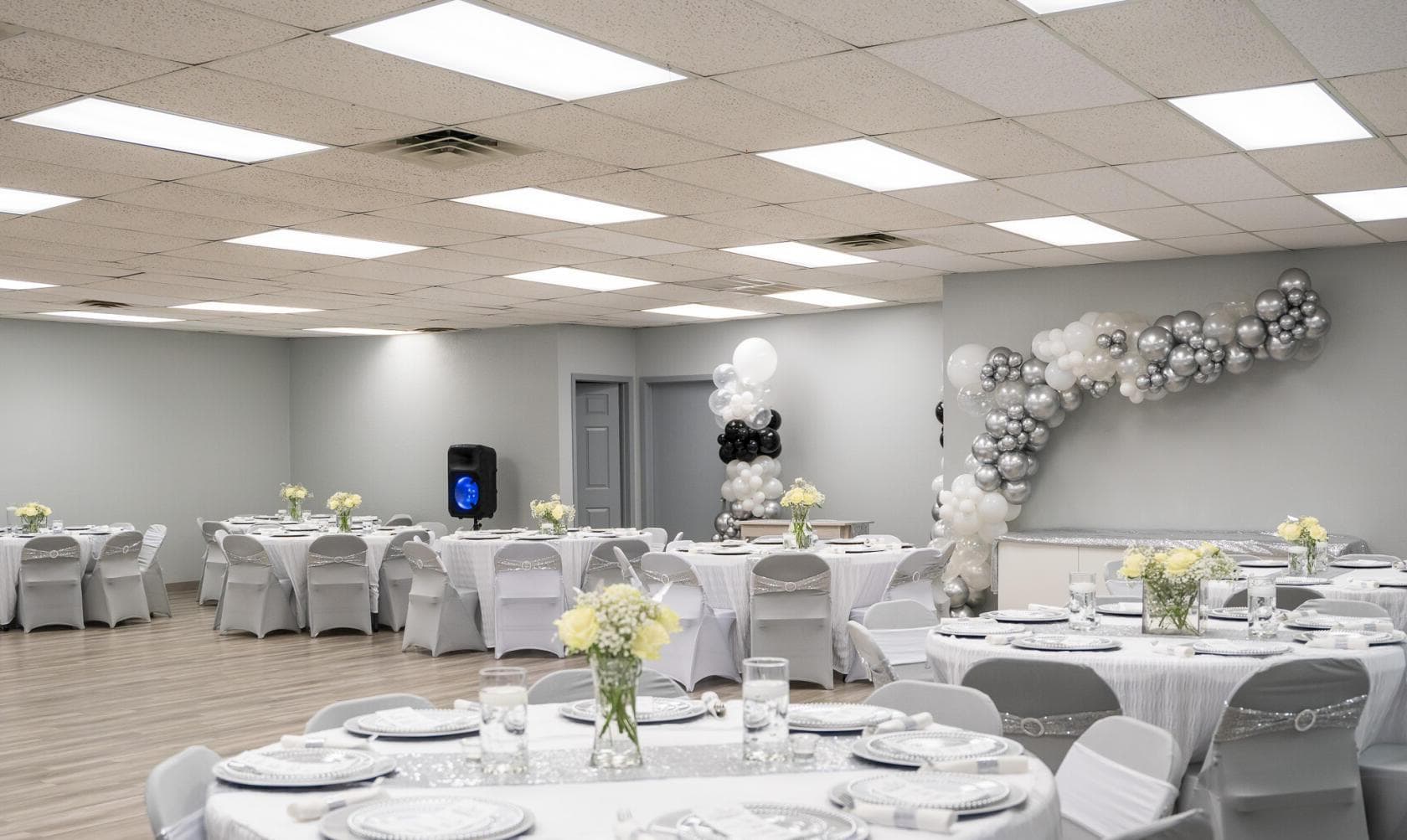 The Dream Studio, The Dream Studio photo #1