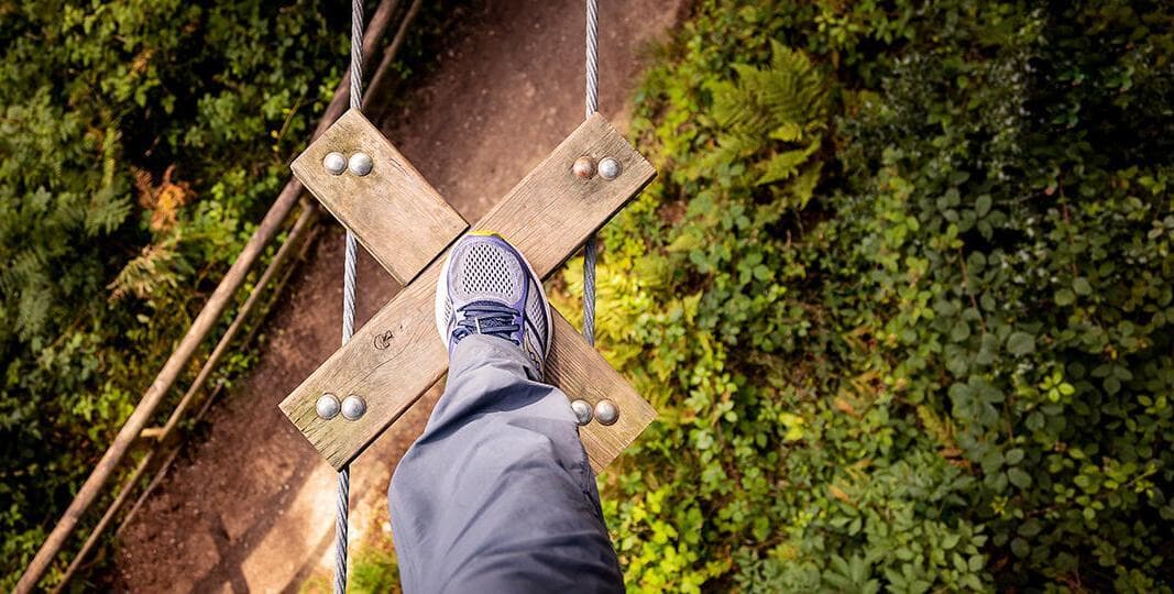 Go Ape Aberfoyle, Treetop Challenge, undefined photo #1