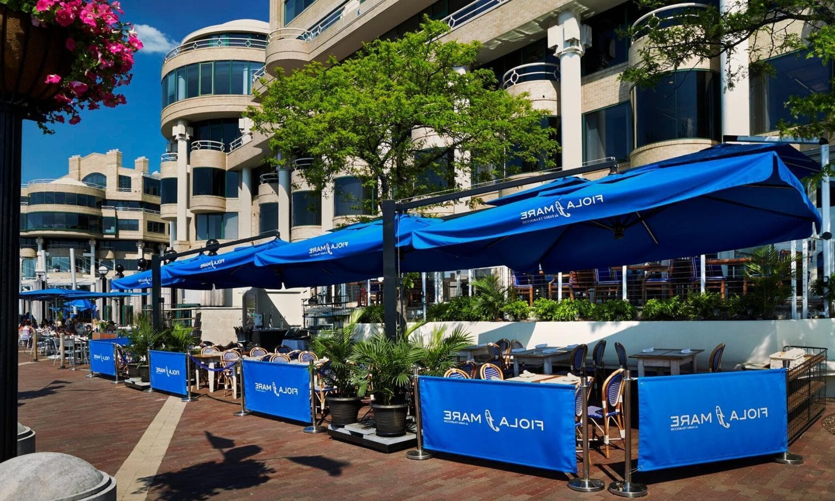 The Marina, Fiola Mare photo #1