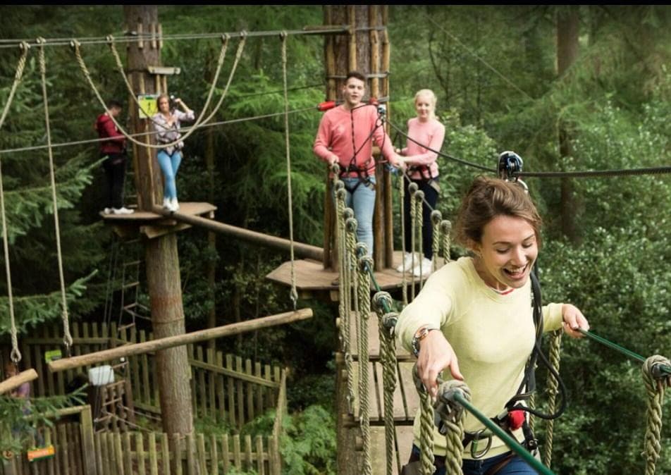 Go Ape Glentress Forest, Treetop Challenge, undefined photo #1
