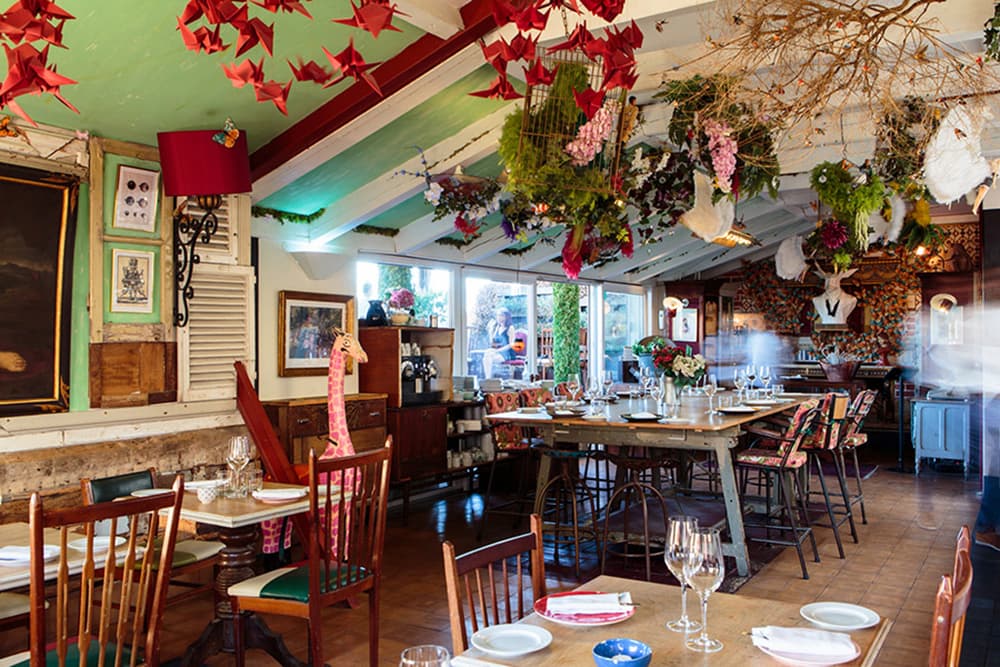 The Insólito photo #2