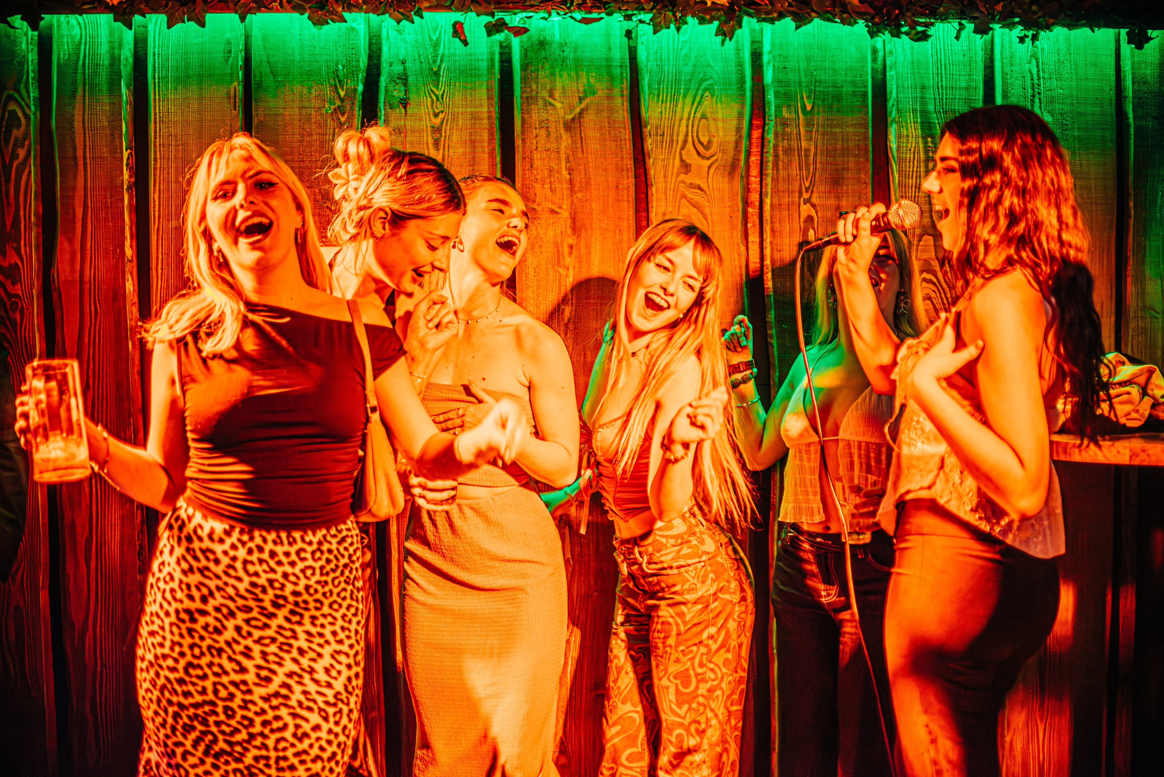 Karaoke Room, Barbara's Bier Haus Bournemouth photo #13