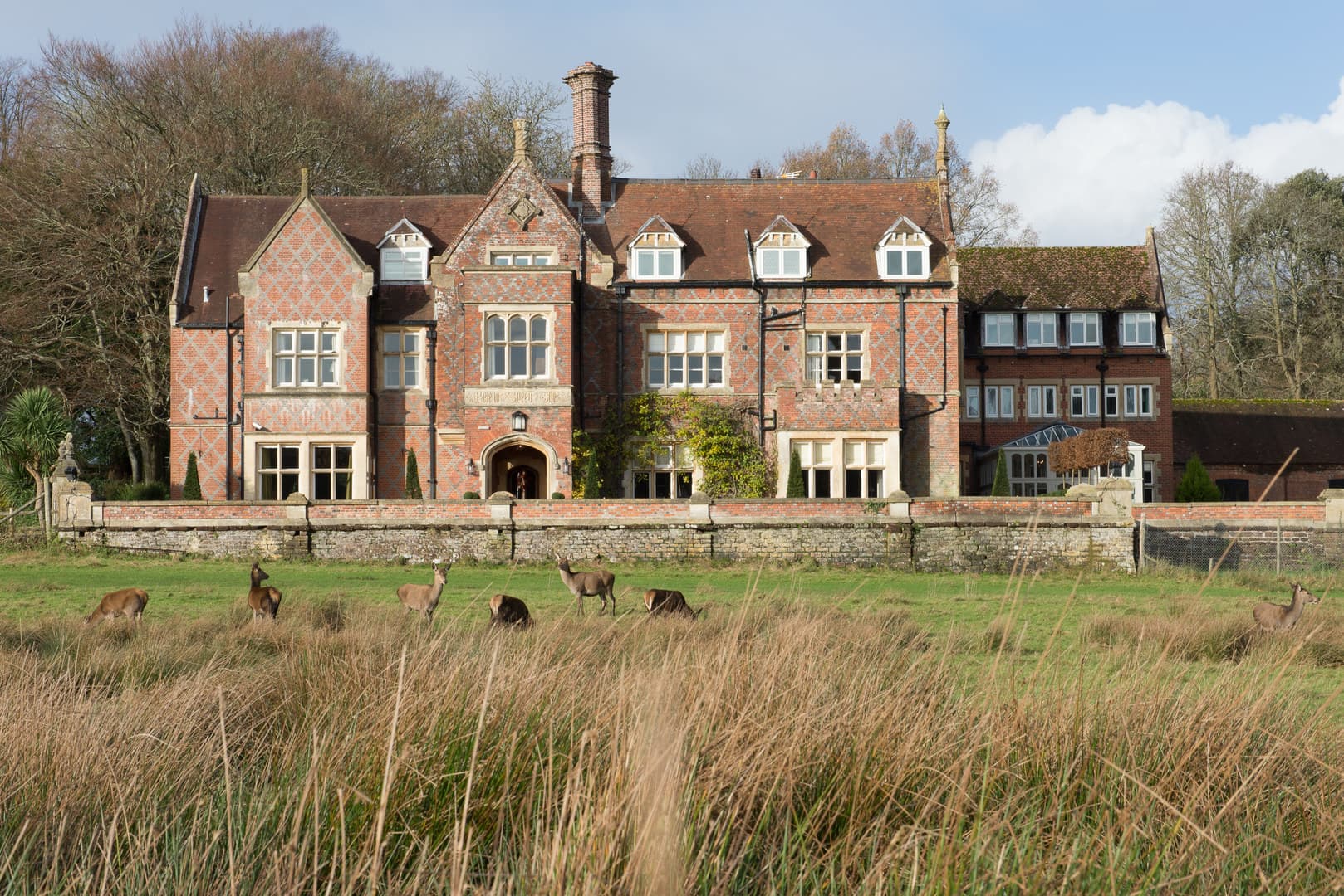 The Barn, Burley Manor photo #1