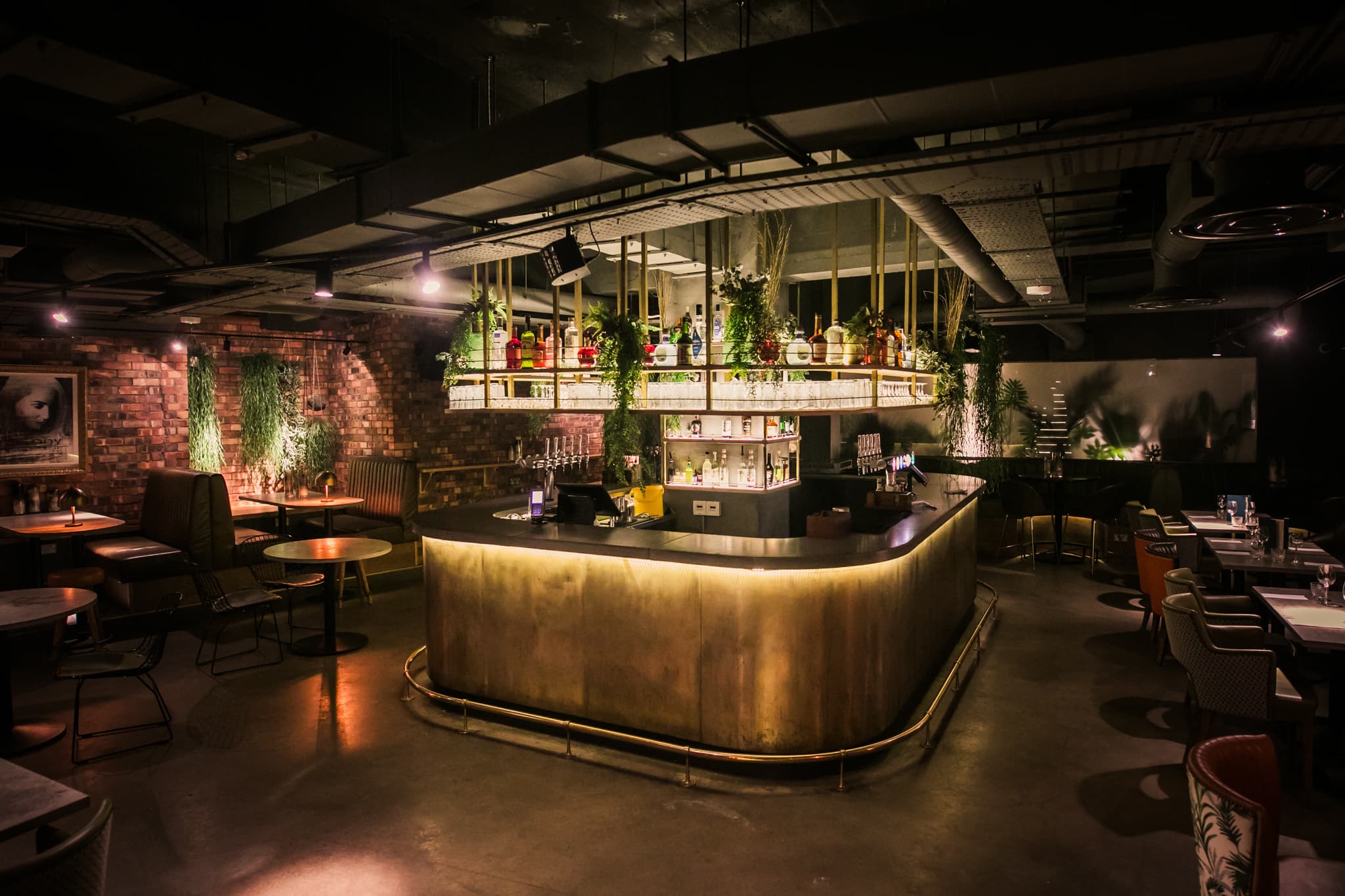 Wren Tavern, 5CC Cocktail Bar photo #2