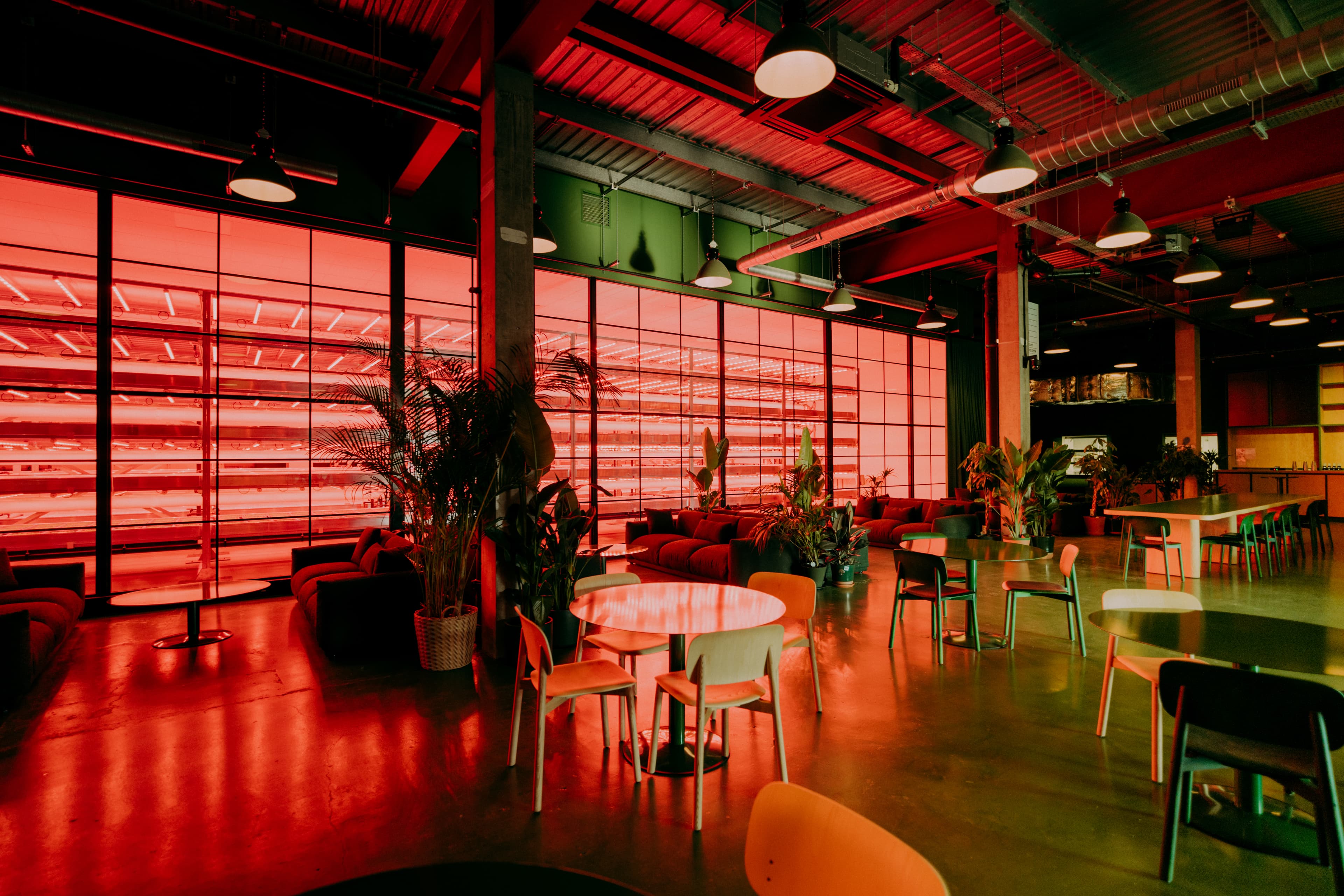 Photo of Corner Corner