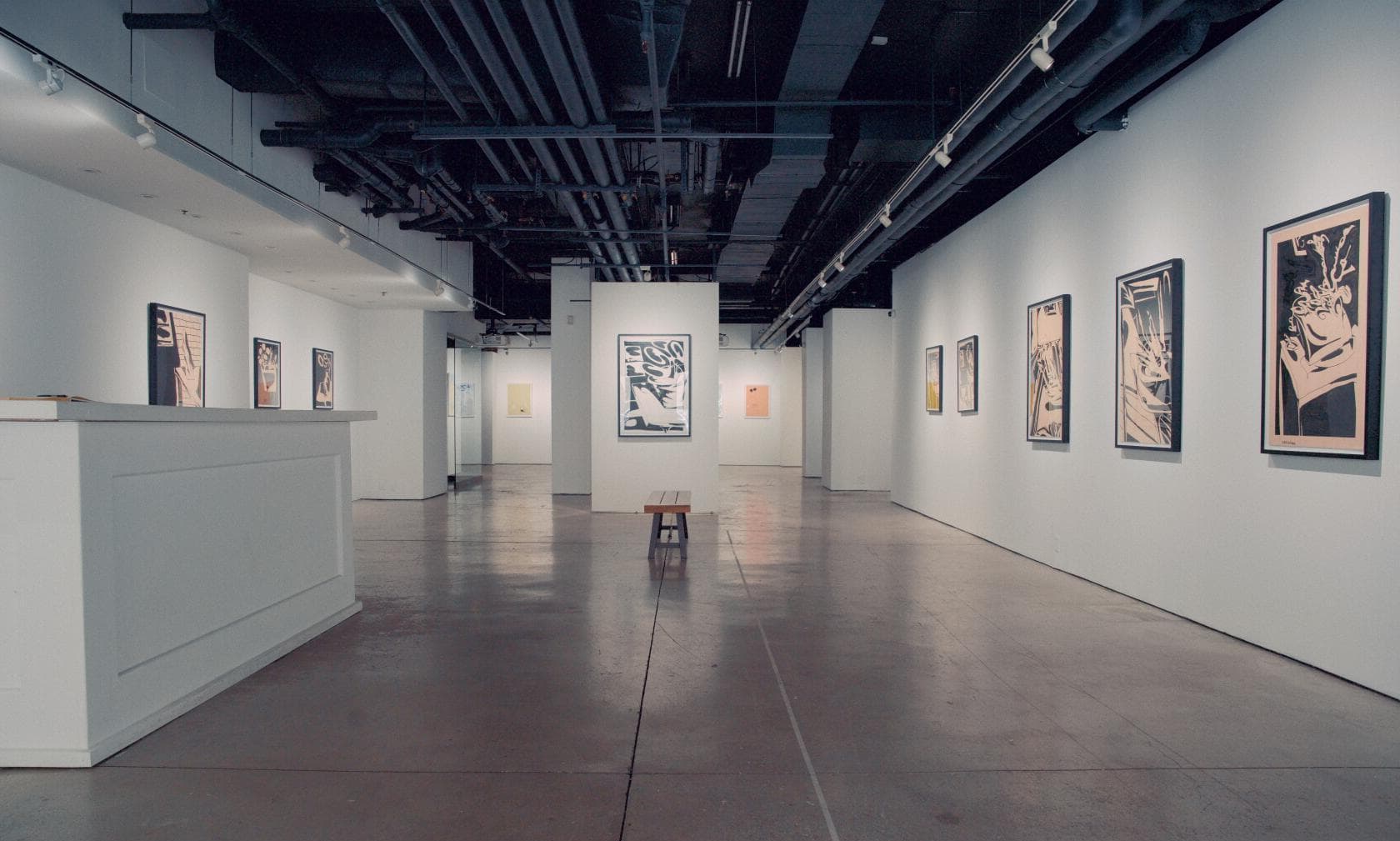 Entire Gallery, 231 10th Ave Gallery photo #1