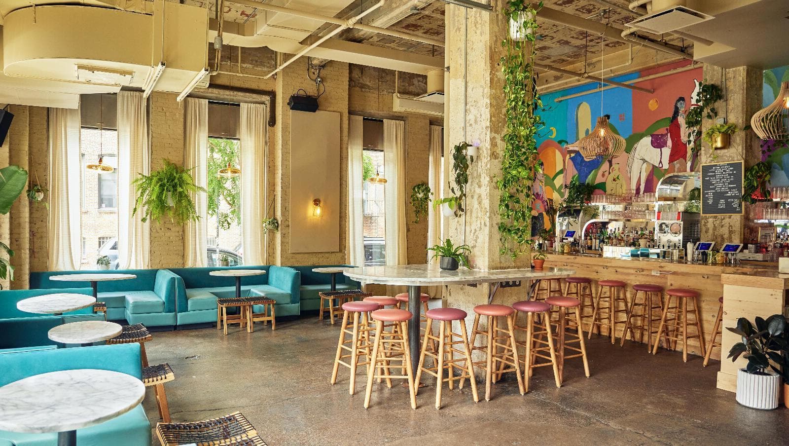 The Downstairs, Cafe Balearica photo #1