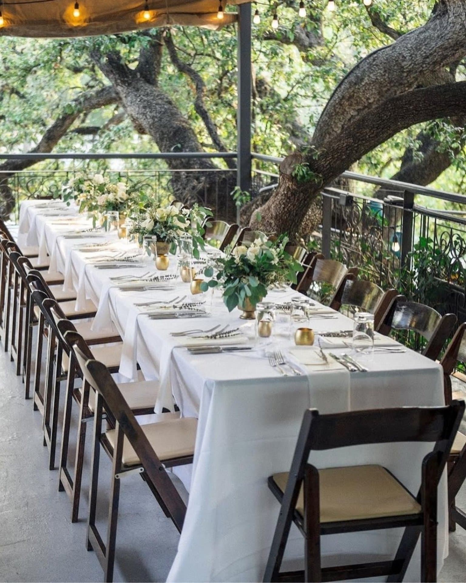 Photo of Olive & June