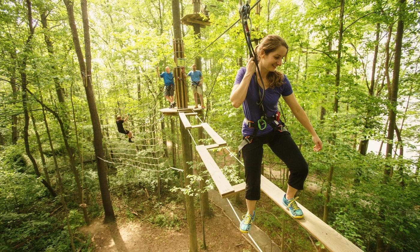 Treetop Challenge, Go Ape Forest of Dean (Mallards Pike) photo #1