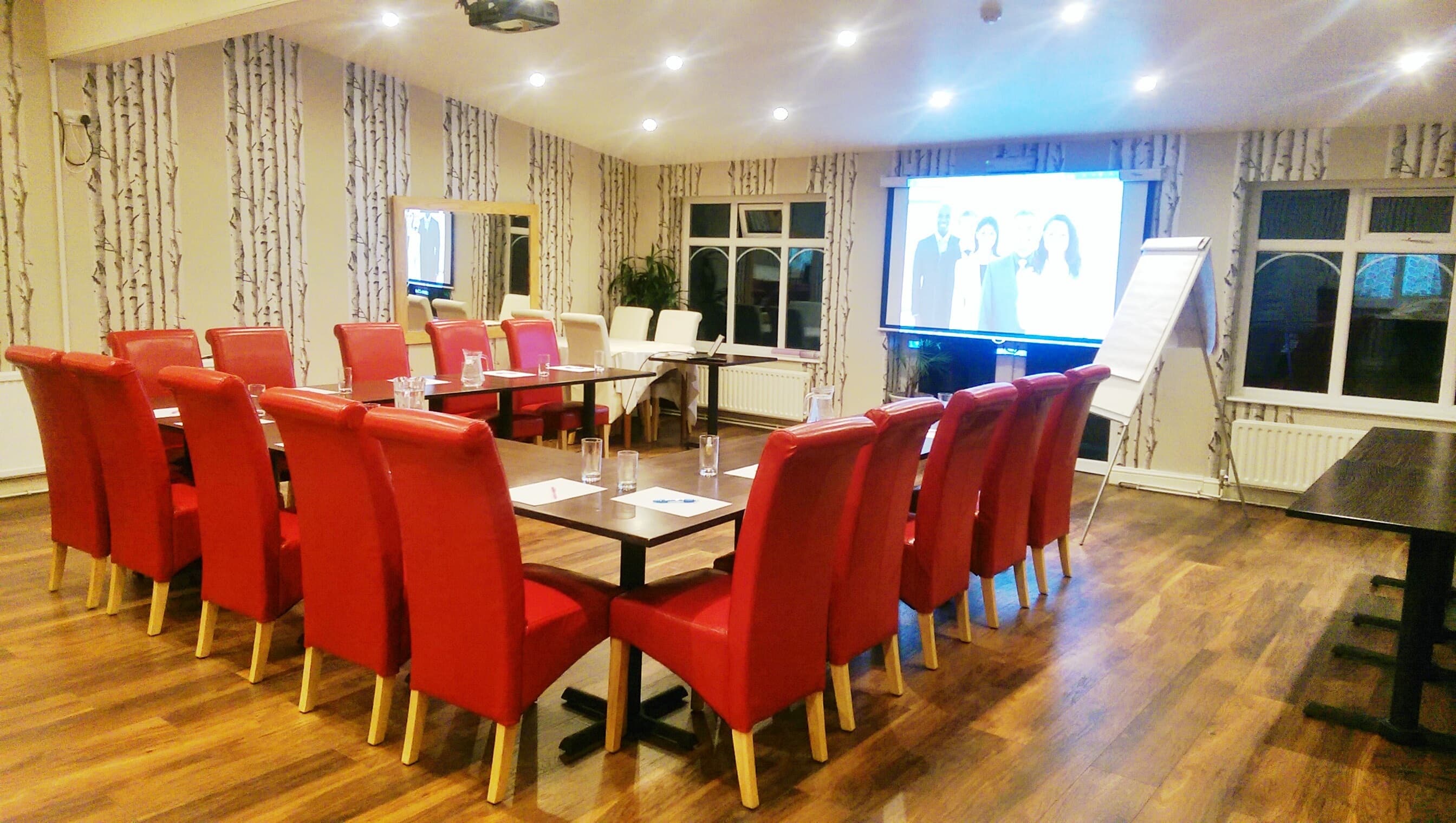 Large Meeting Room, Avis Hotel photo #3