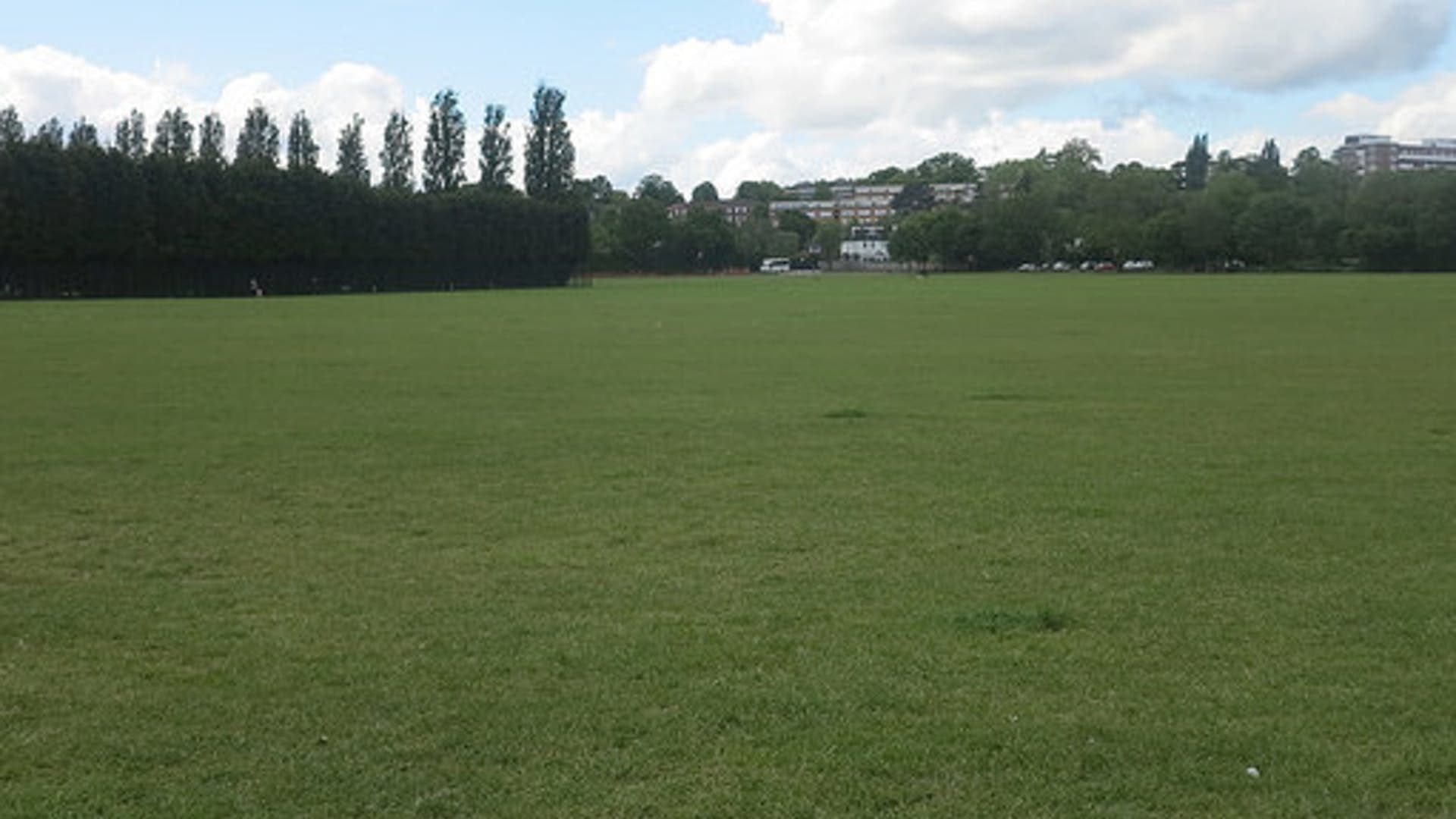 Wimbledon Park, Main Field photo #2
