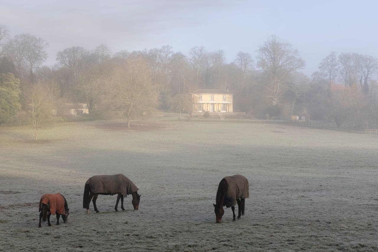 Photo of Henge Estate