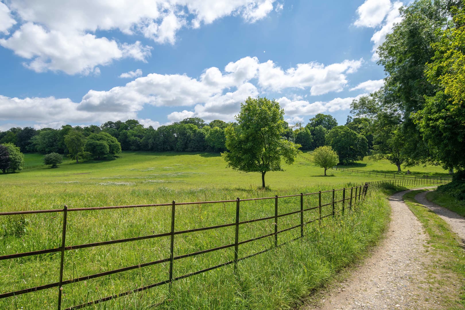 Exclusive Hire, Henge Estate photo #41