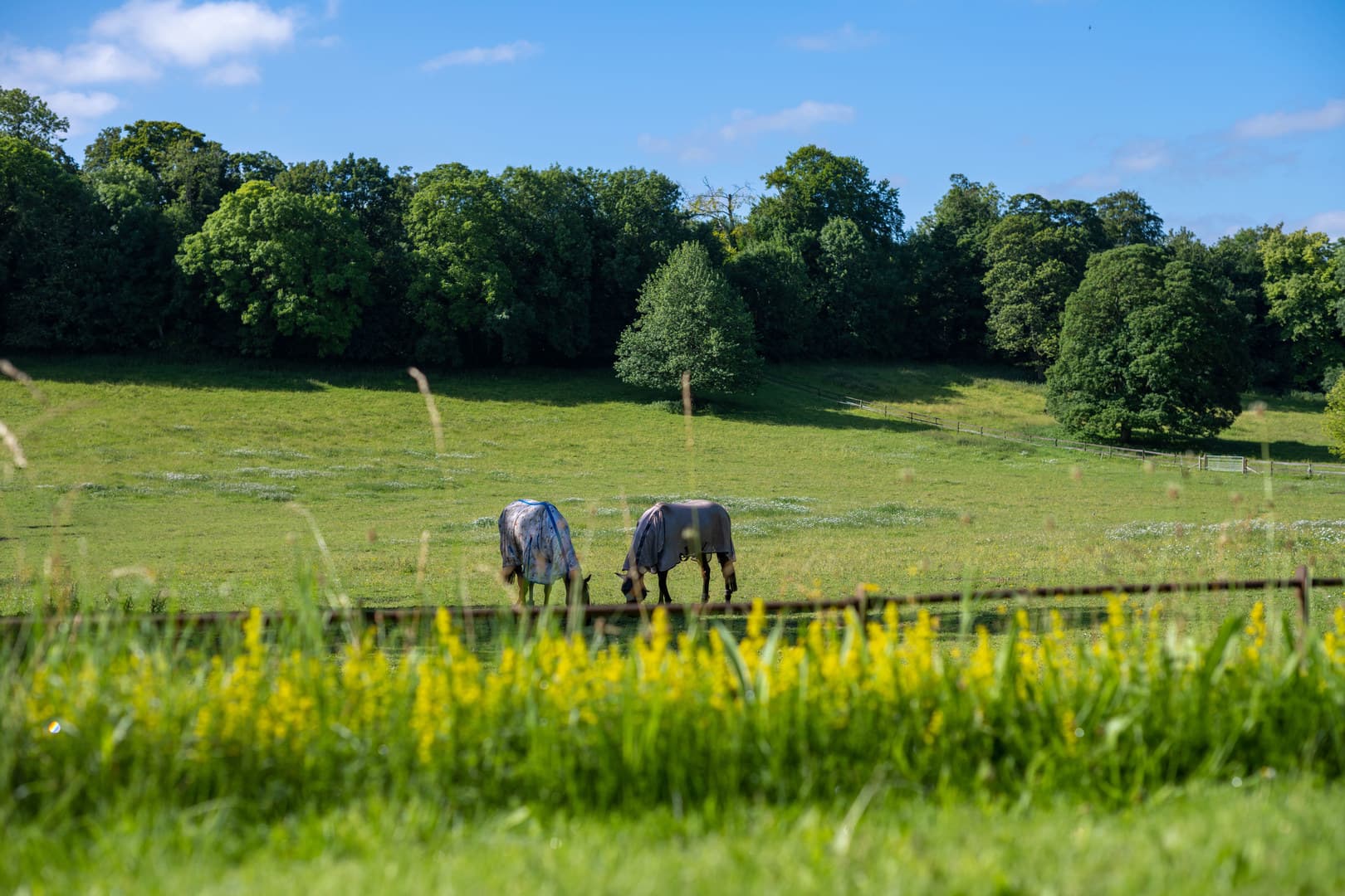 Exclusive Hire, Henge Estate photo #36