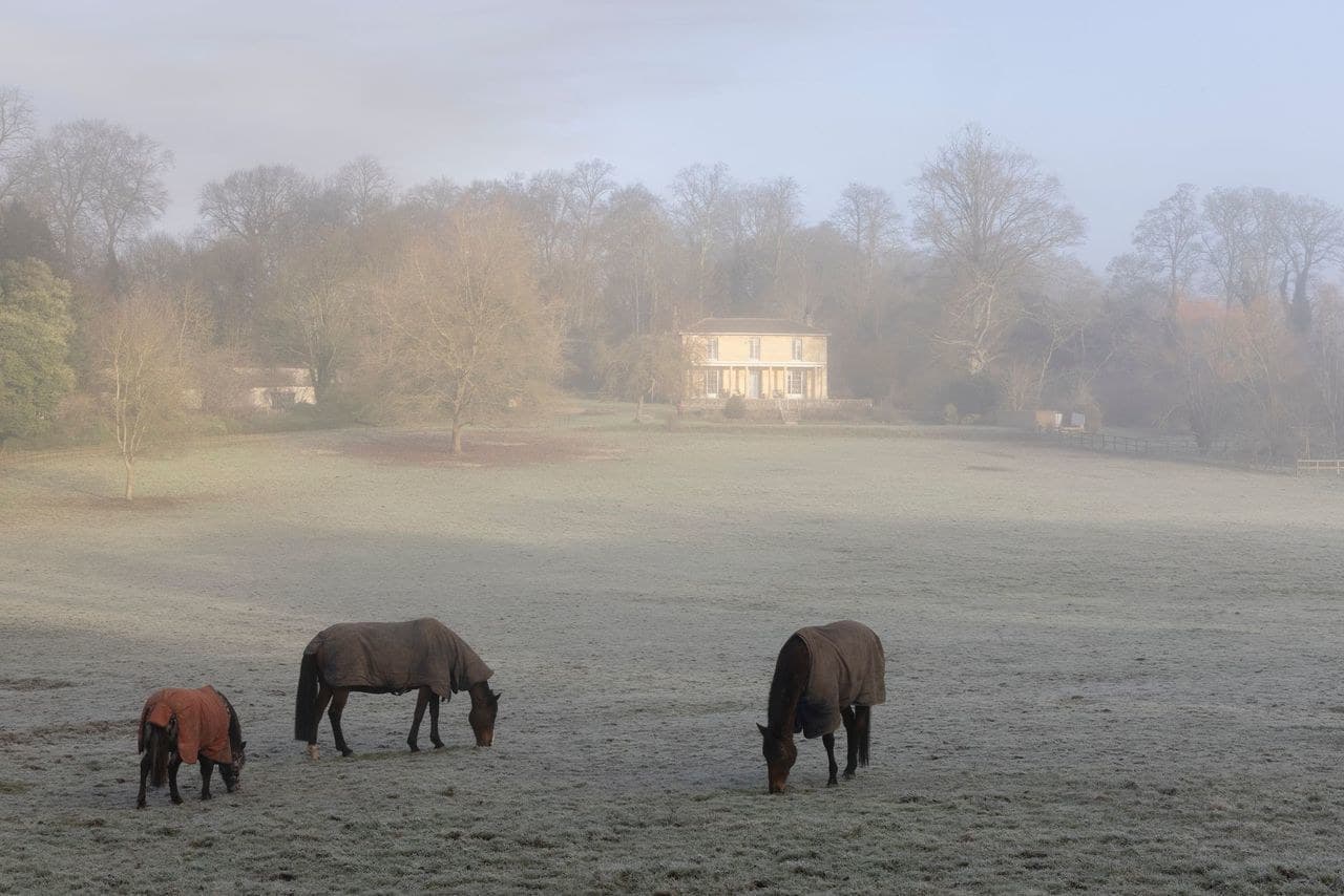 Exclusive Hire, Henge Estate photo #27