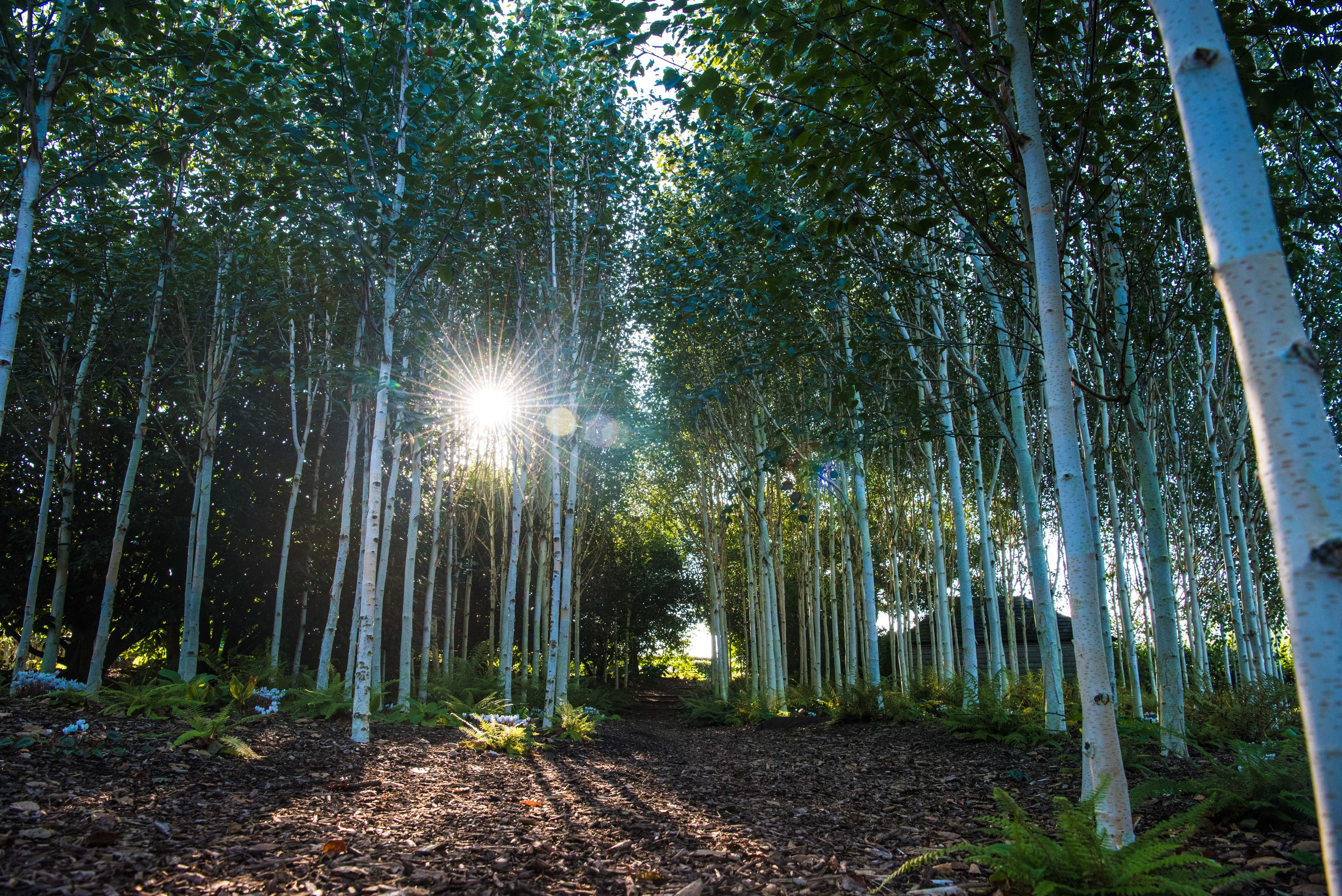 Garden Cafe, Yeo Valley photo #3