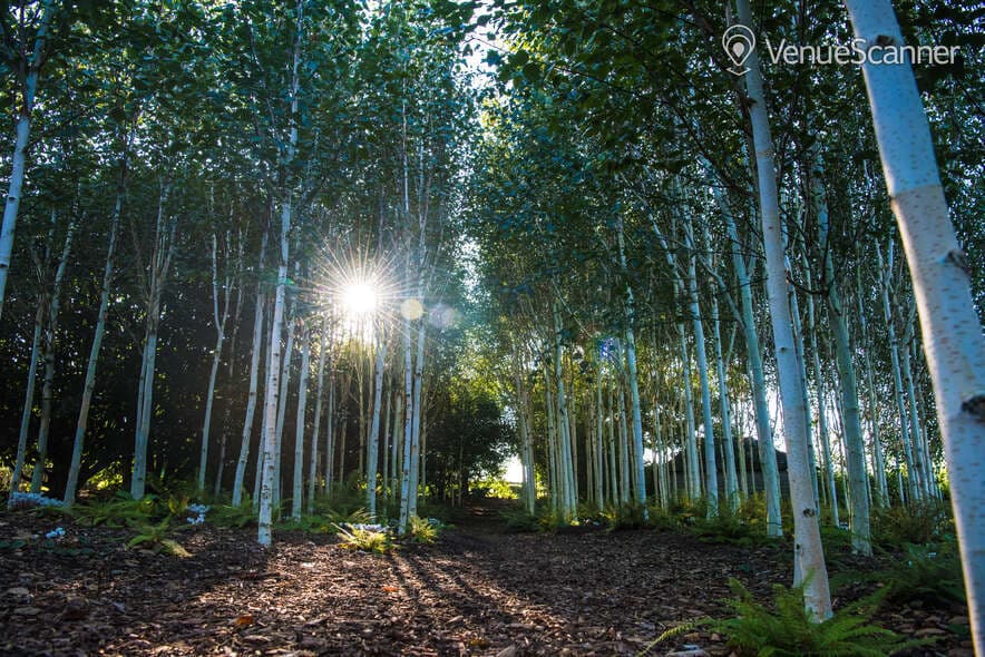 Yeo Valley, Garden Cafe photo #3