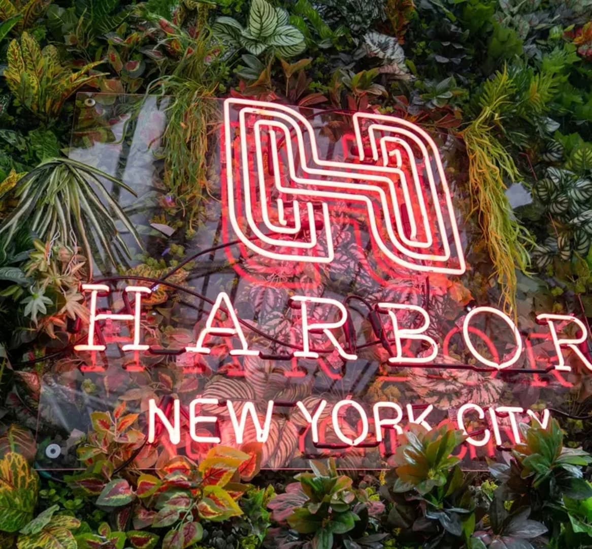 Harbor Rooftop & Event Space, Harbor NYC photo #11