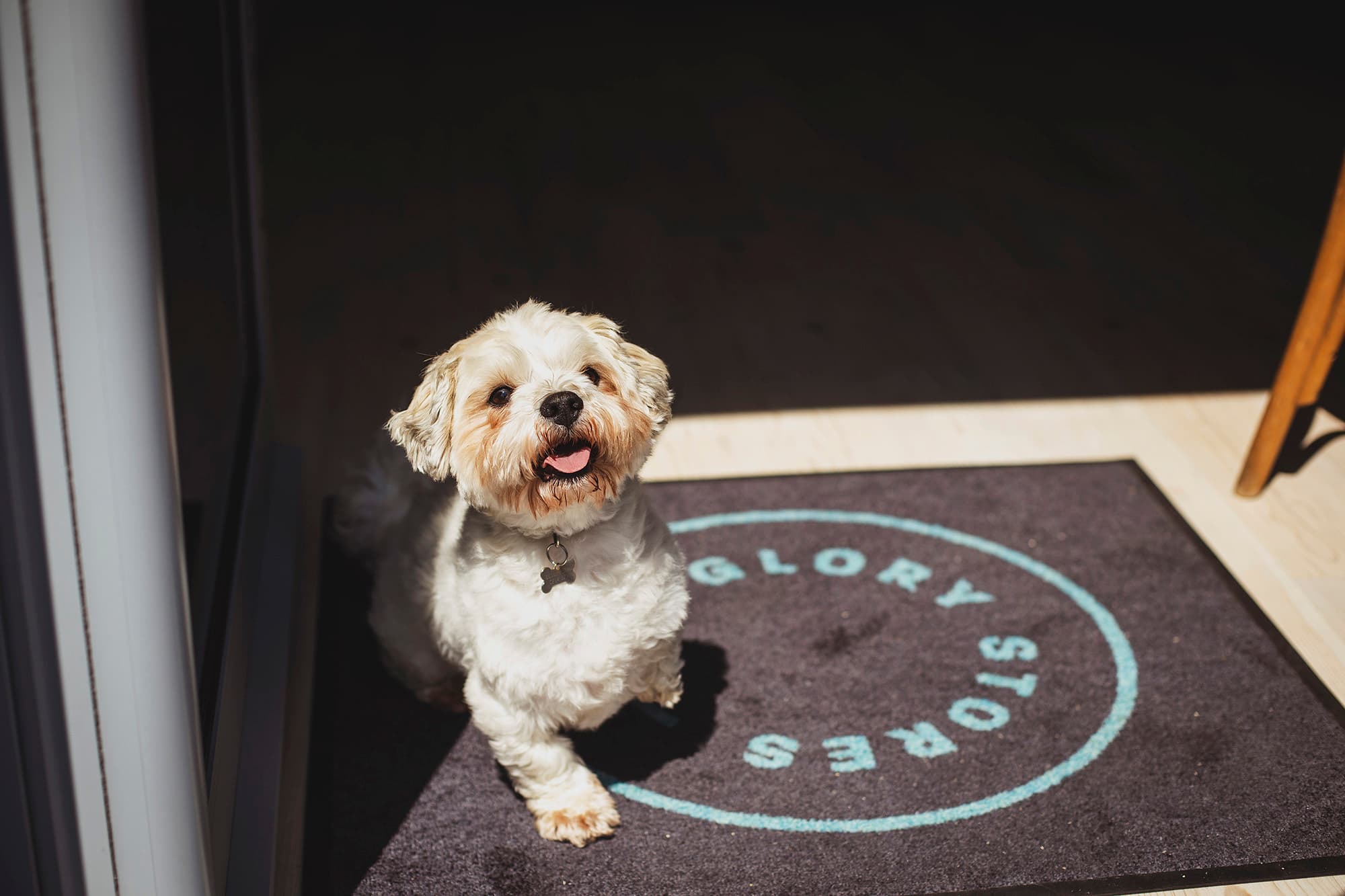 Glory Stores photo #2