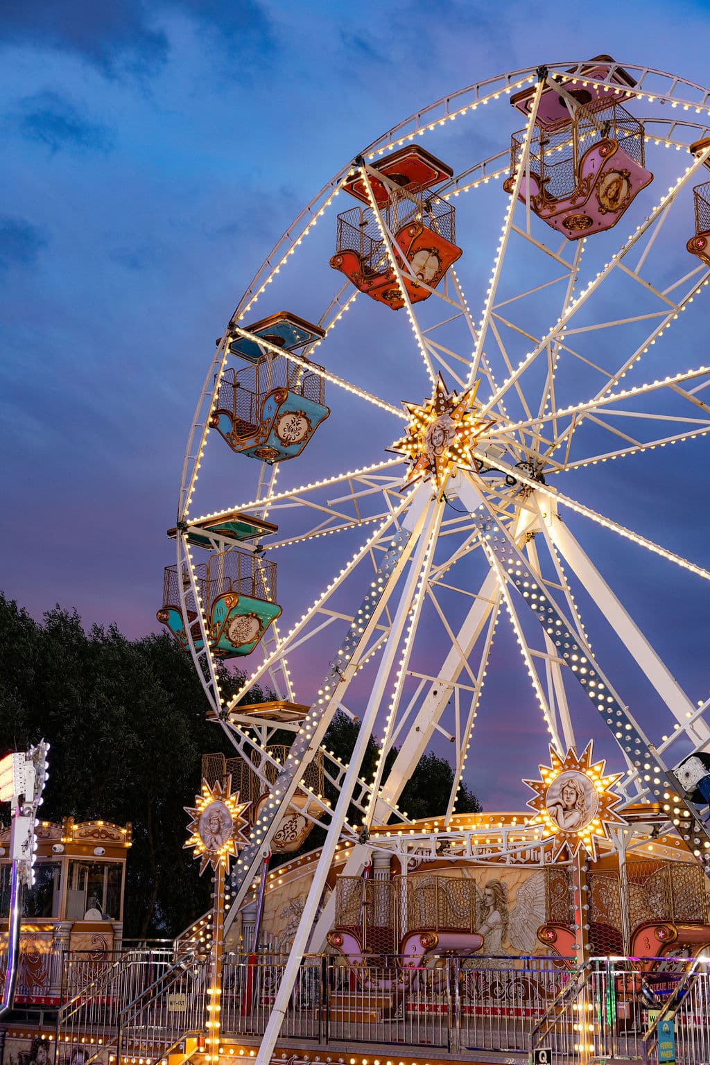 Photo of Web Adventure Park