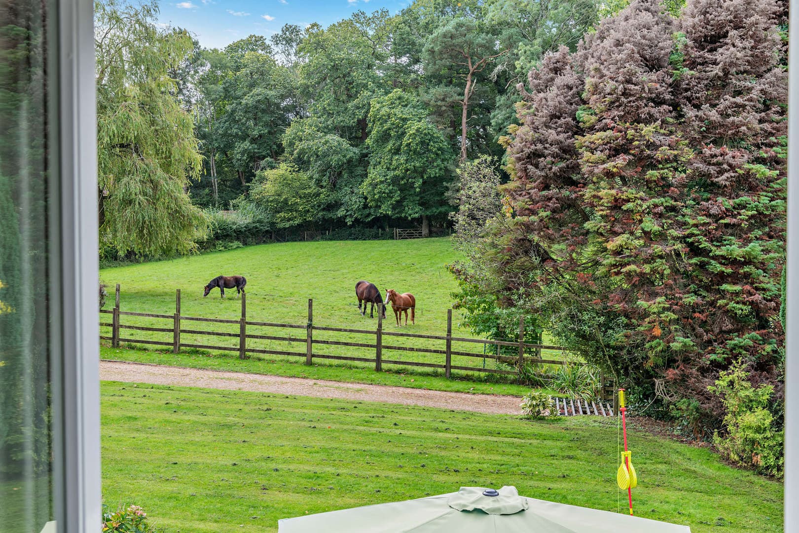 Exclusive Hire, New Forest Lodge photo #2