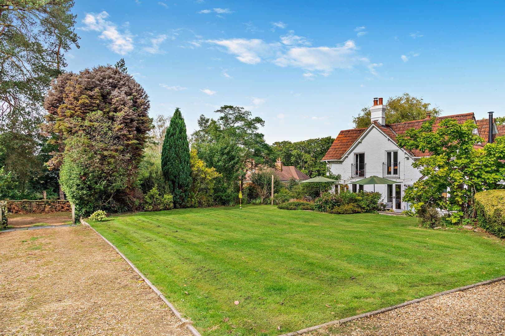 Exclusive Hire, New Forest Lodge photo #1