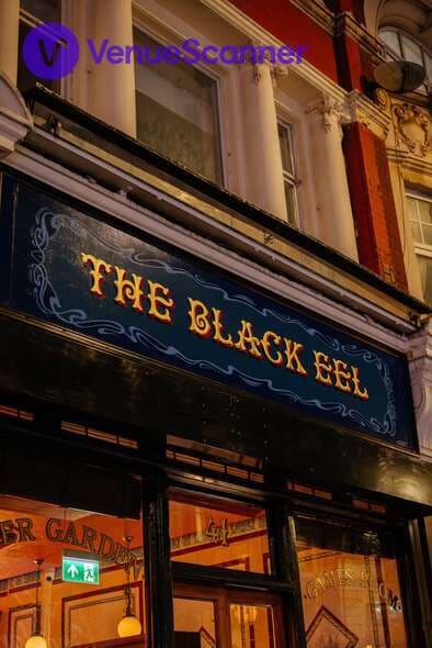 The Black Eel photo #3