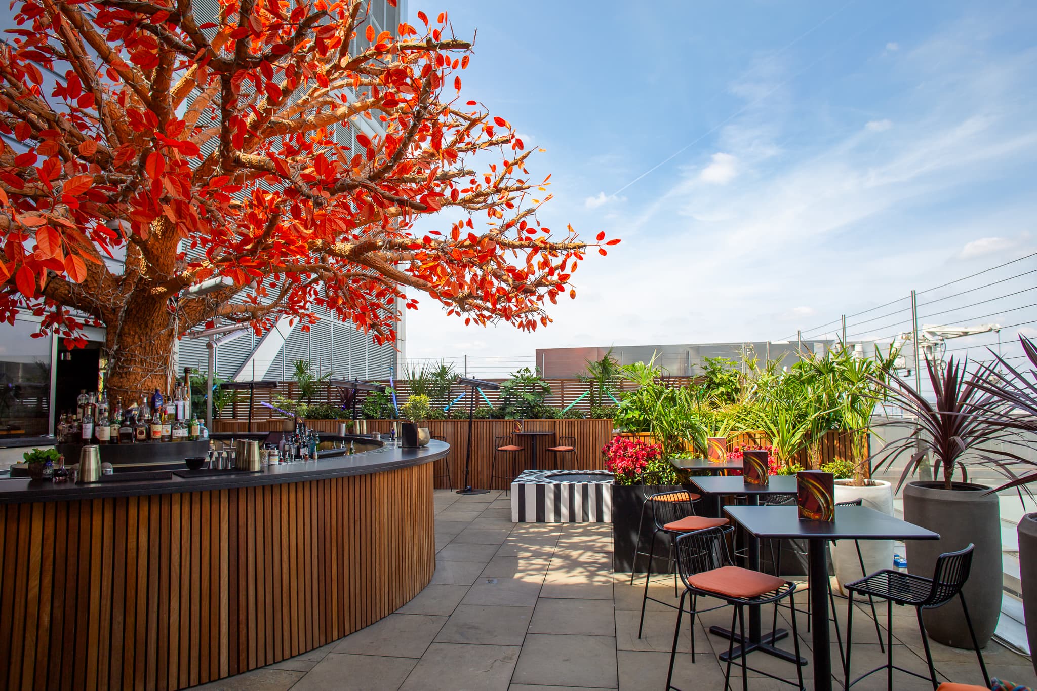 East Side Terrace, SUSHISAMBA photo #7