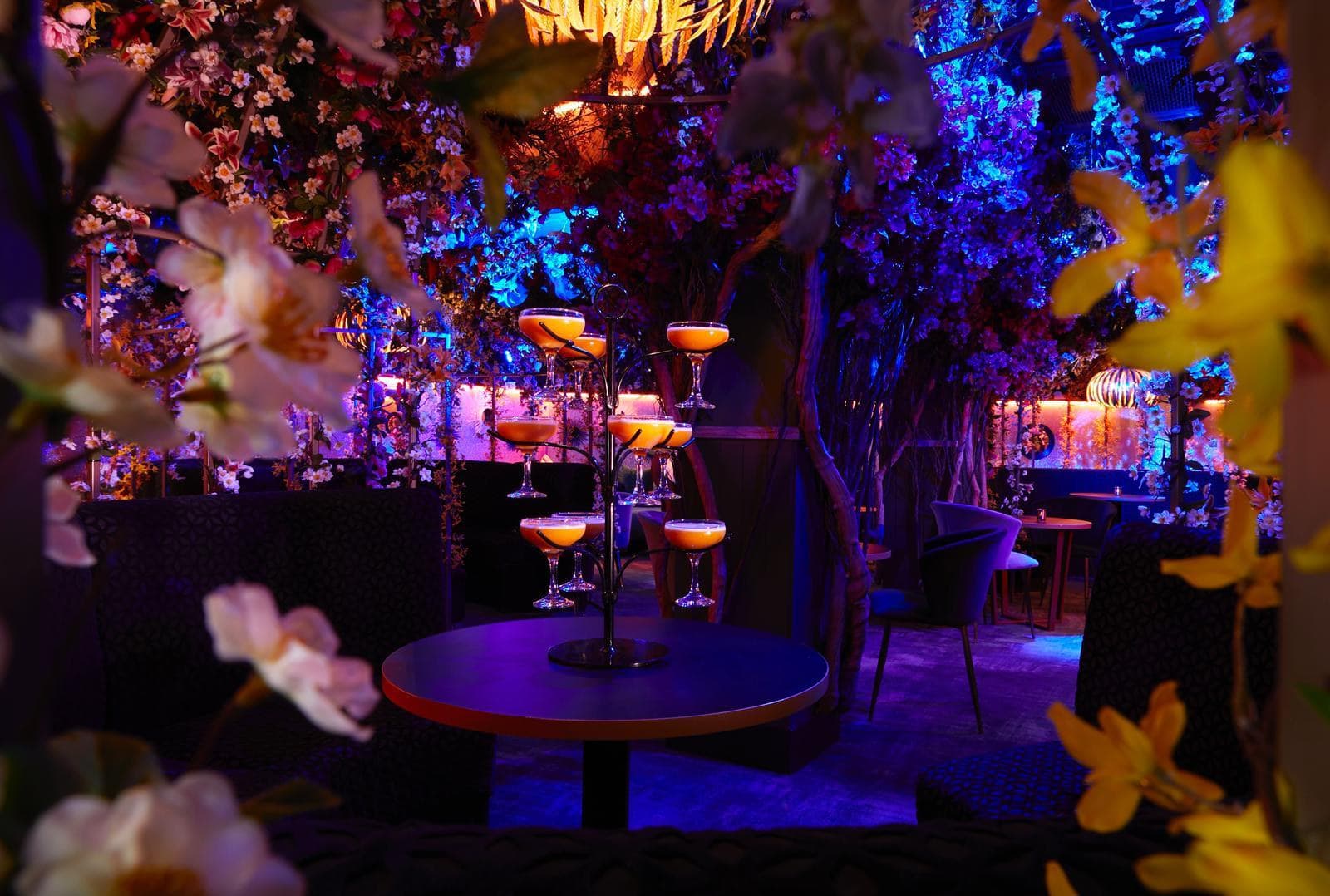 Le Club, Le Fez photo #14