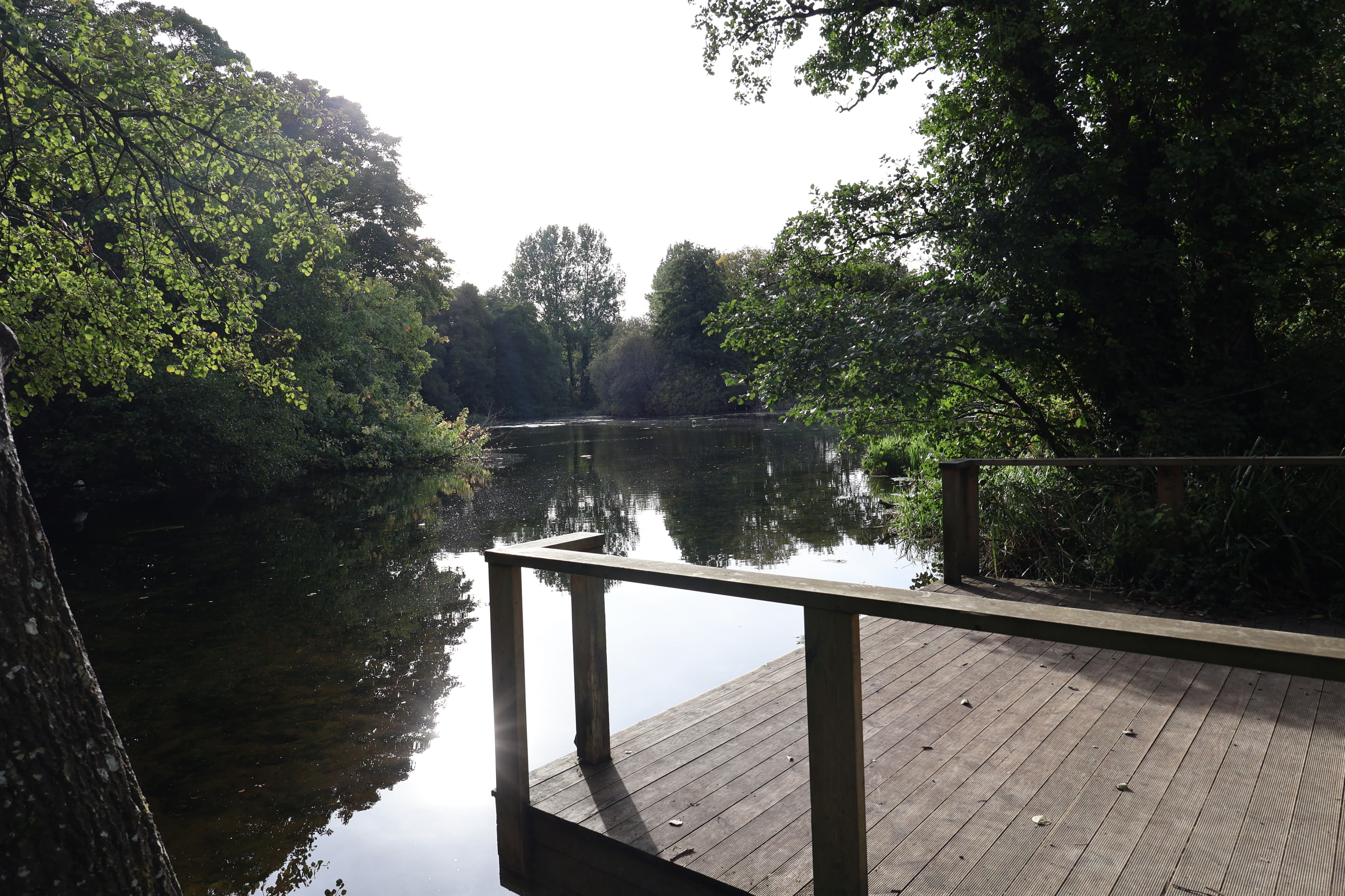 The Lake, Temple And Orchard, Kingston Maurward photo #1