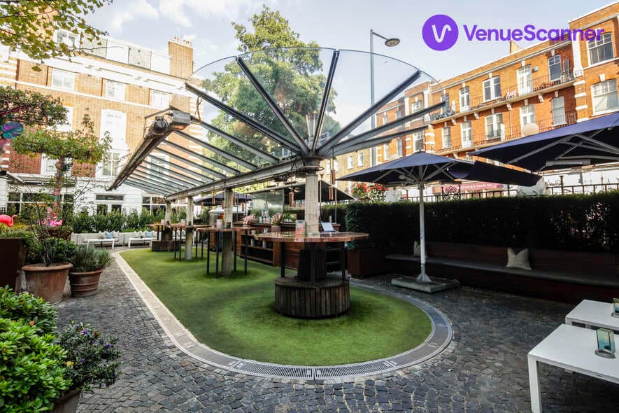 The Courtyard, Bluebird Chelsea photo #2