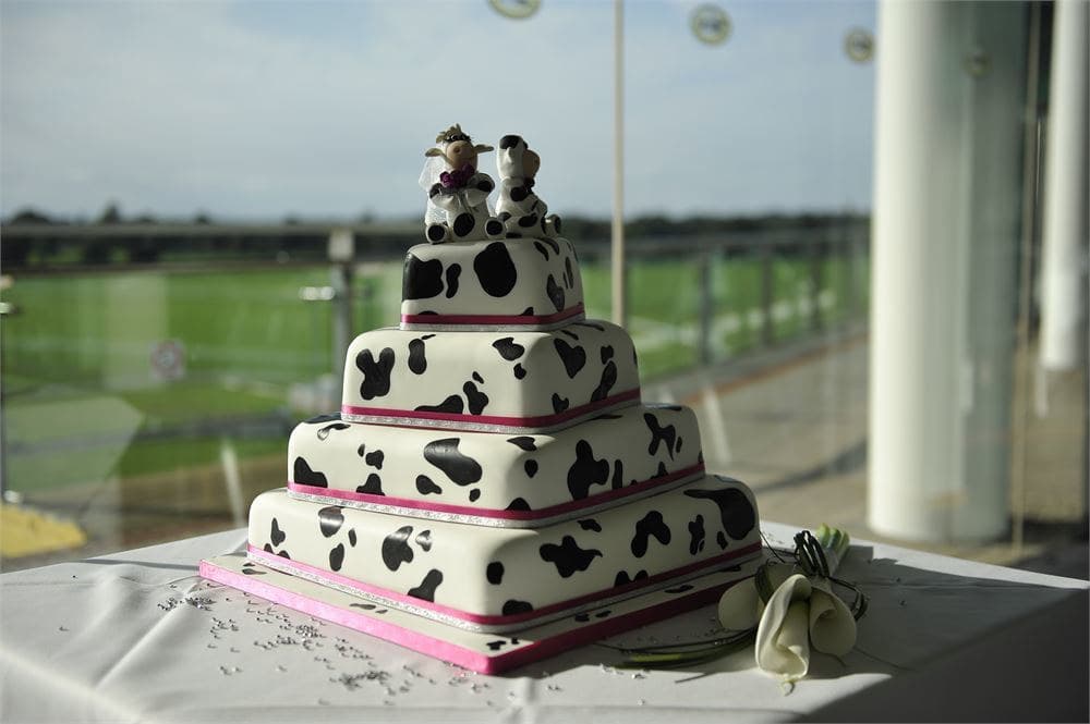 York Racecourse, Exclusive Hire, undefined photo #2