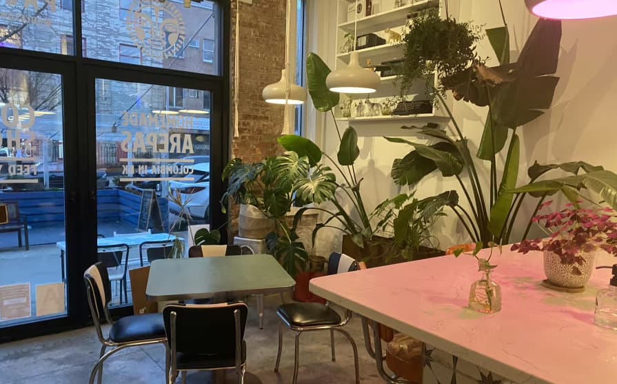 Whole Venue, Palenque photo #3